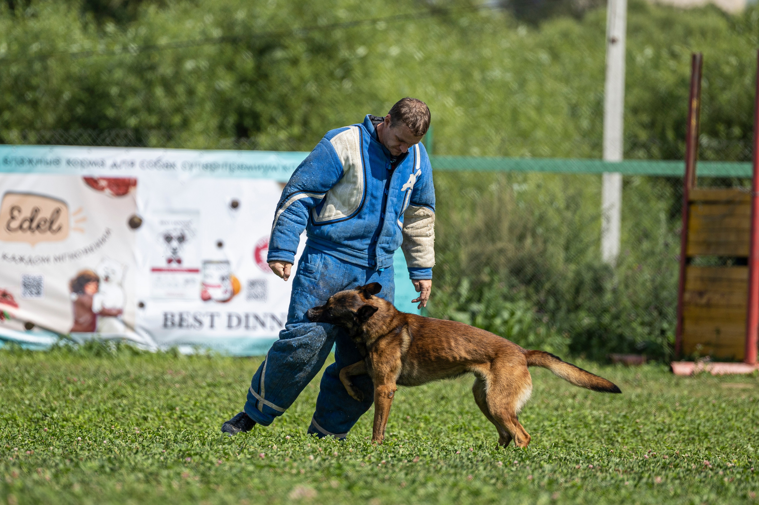 Соревнования по Мондьорингу г. Вологда 10-11.08.2024. Фотограф-анималист Анна Маринич