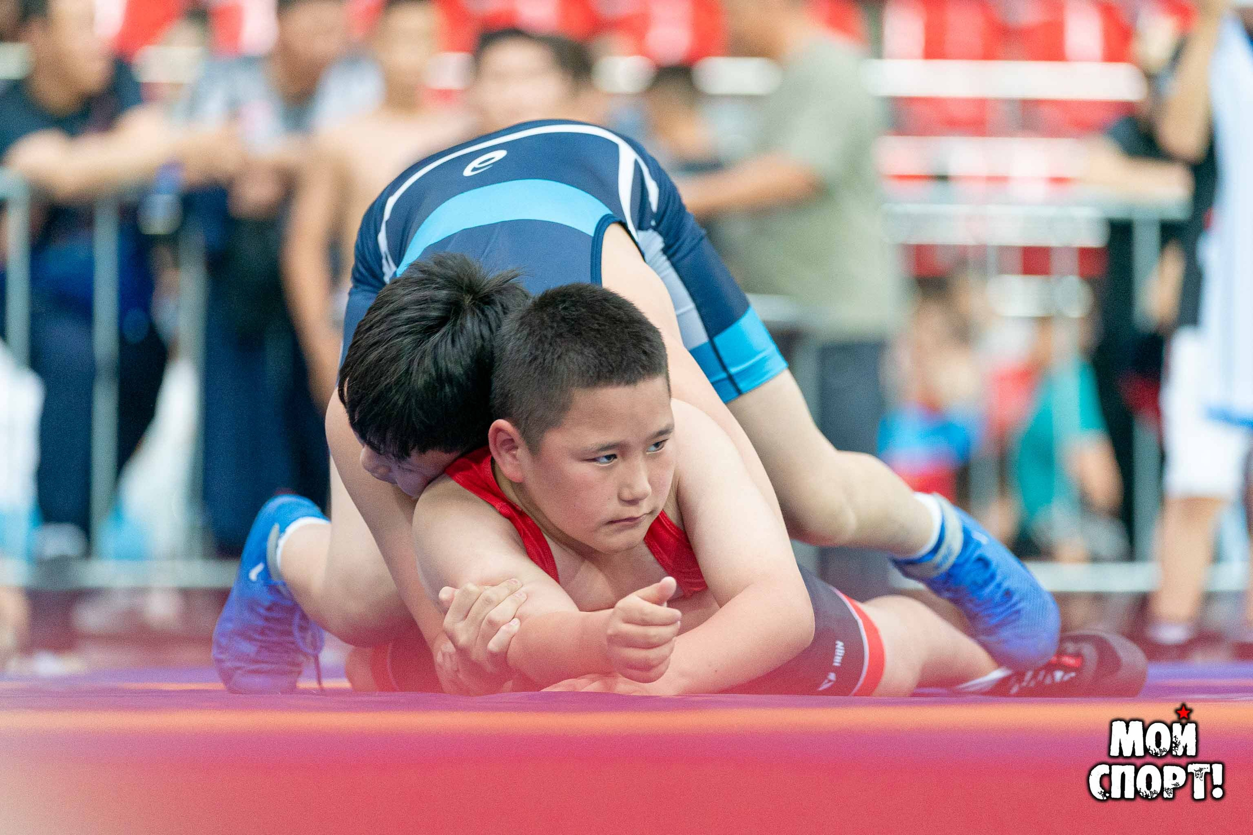 Международный, всероссийский и республиканский турниры по вольной борьбе среди юношей в честь П. П. Пинигина. Студия «Мой Спорт!» — все о спорте в Якутии