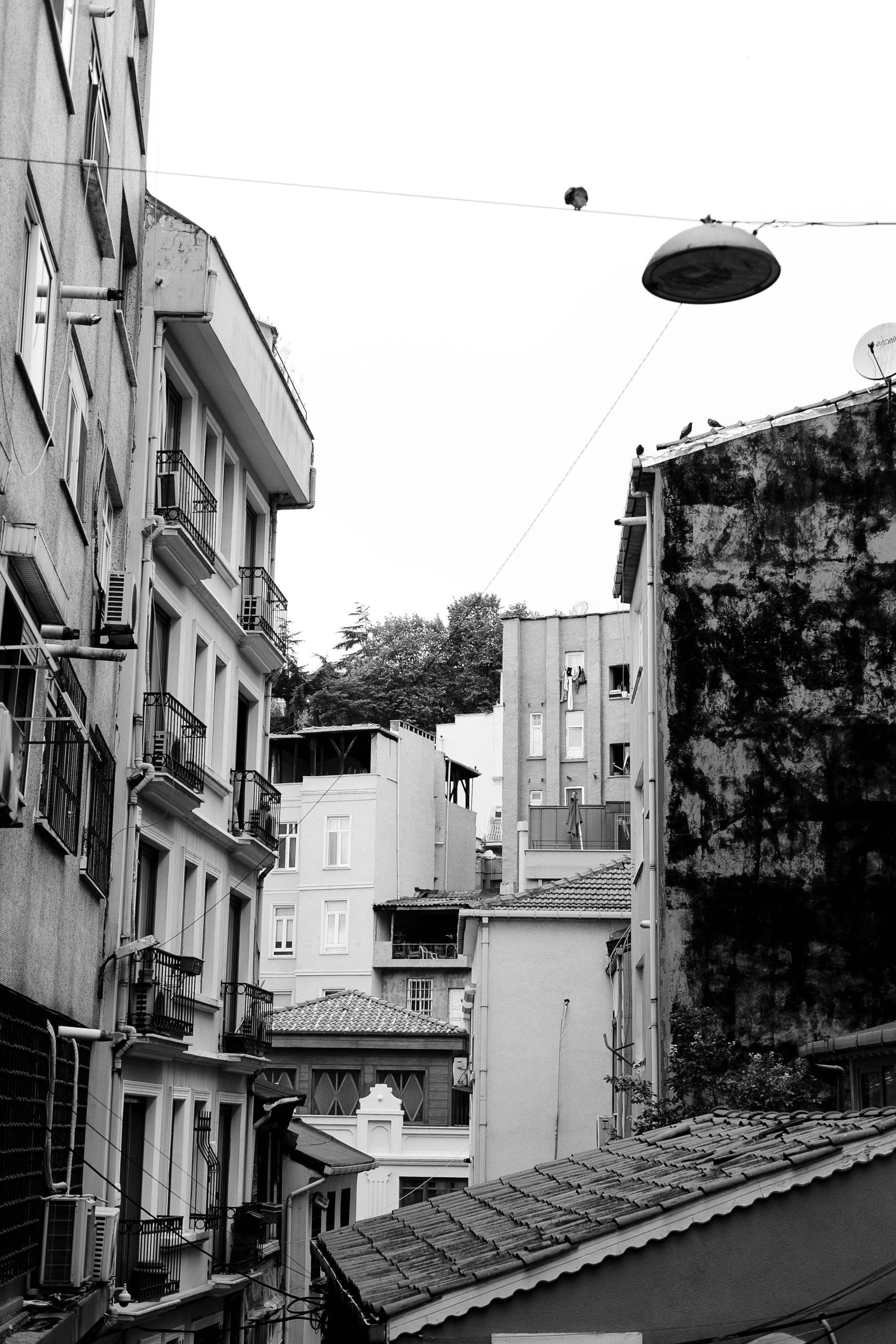 Istanbul. Katerina Spekhova