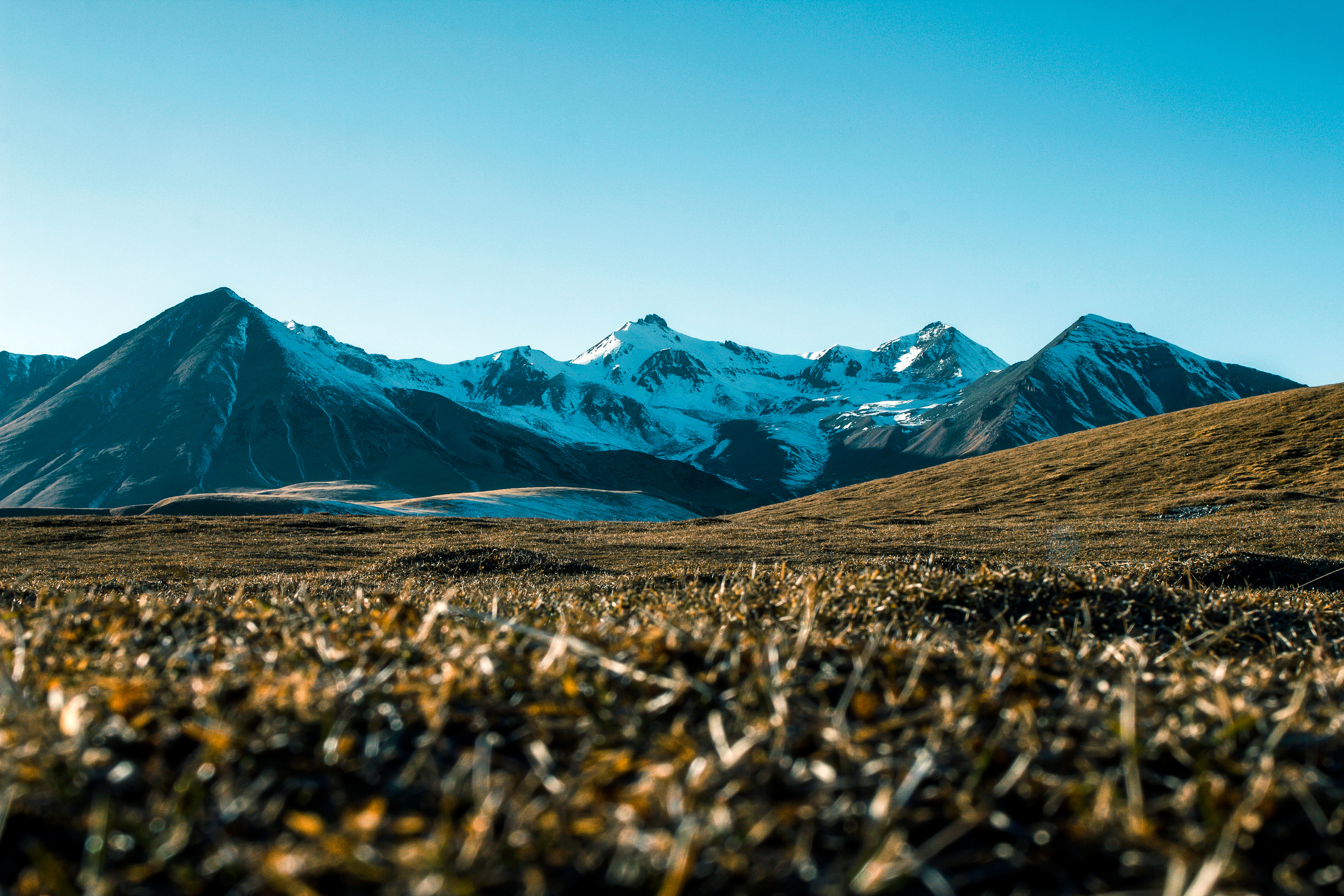 Константин Жуйков | Stifty