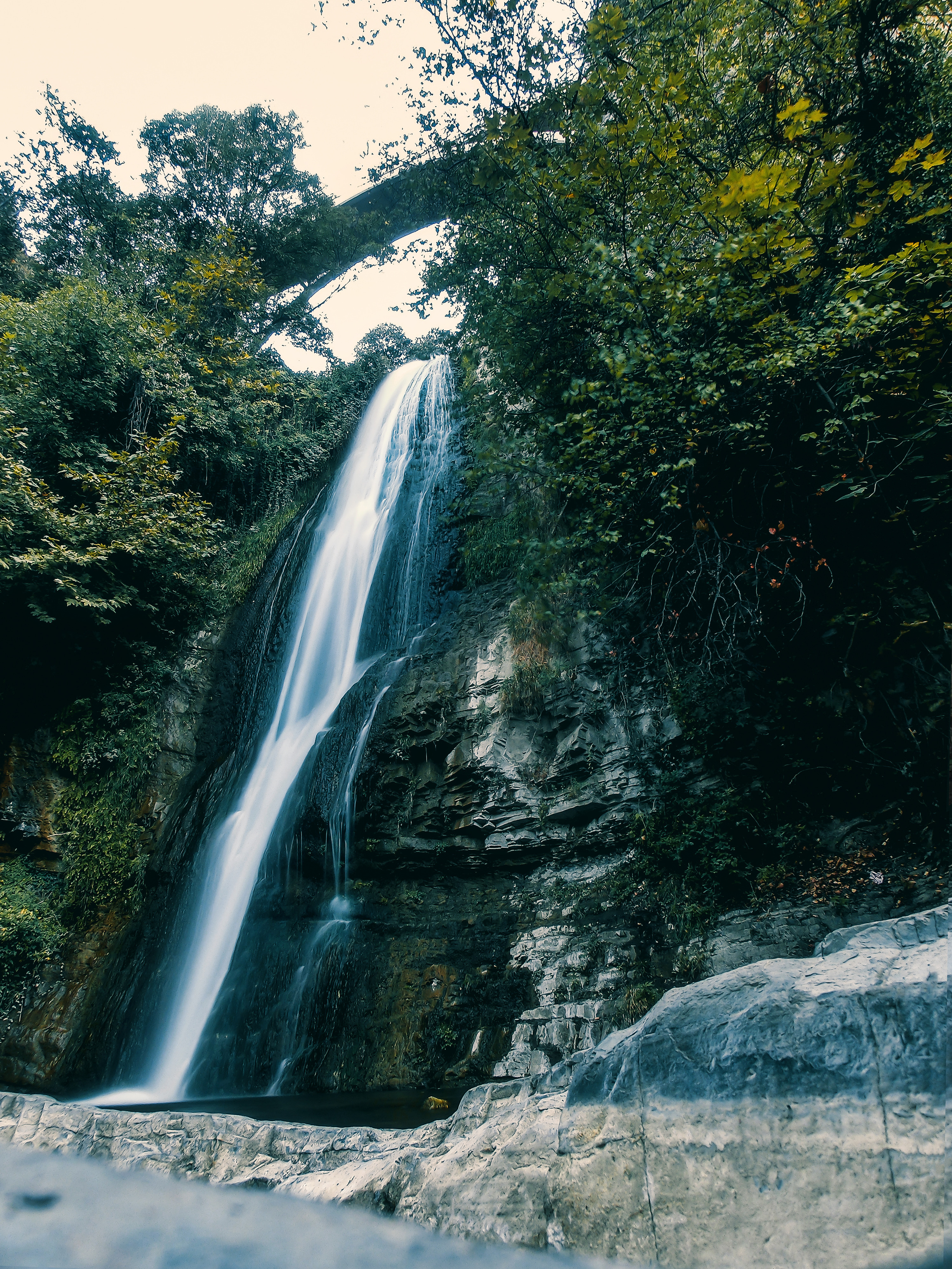 Константин Жуйков | Stifty