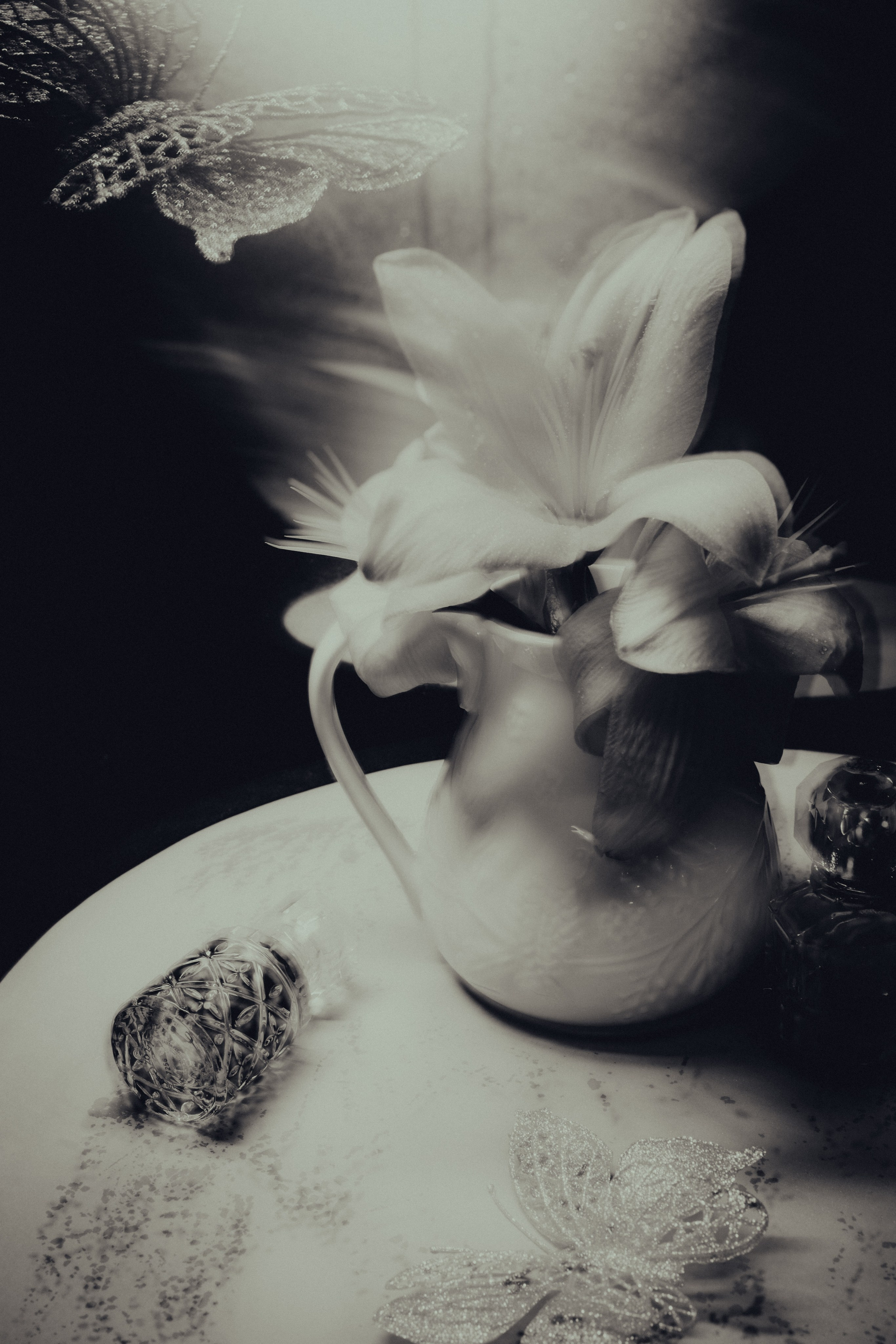 Природа &. Фотохудожник в СПб