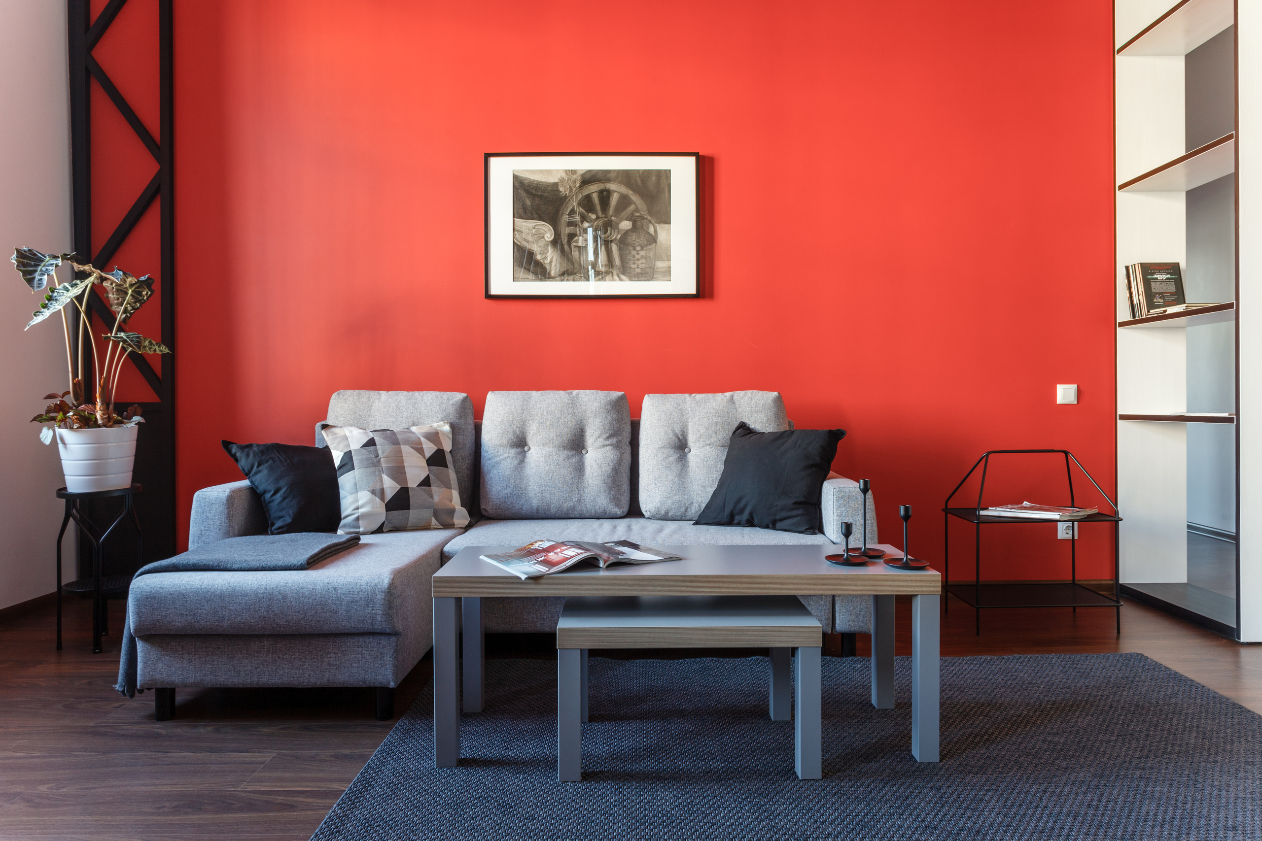 Яркие апартаменты в центре Санкт-Петербурга. Наталья Мавренкова интерьерный фотограф, декоратор в Санкт-Петербурге