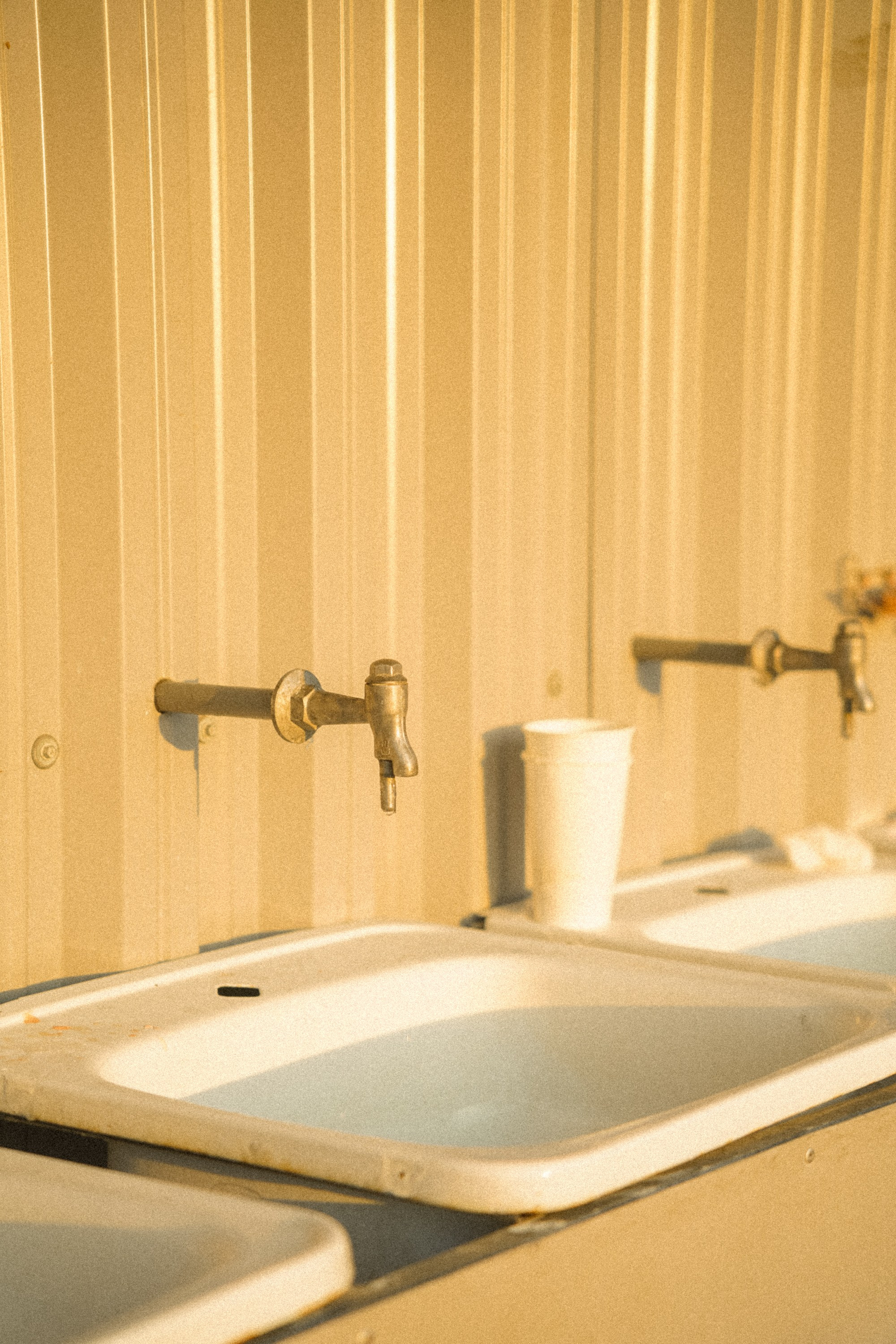 Бирюса 2025. Детали. Фотограф Кощеева Дарья