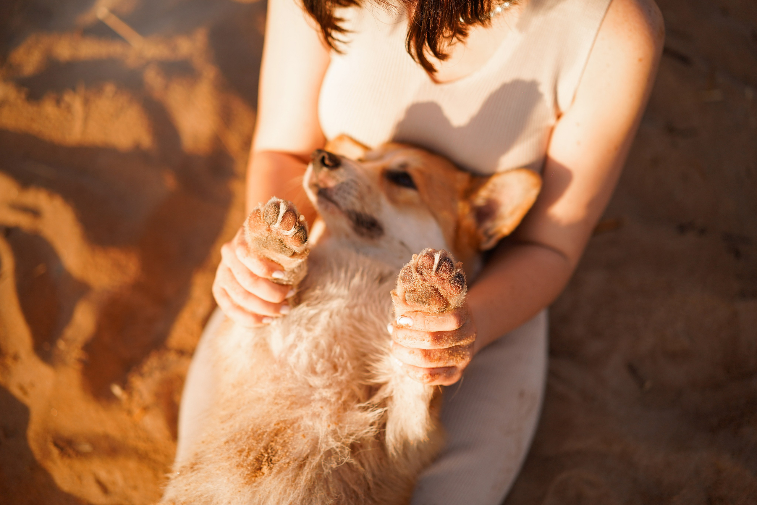 Таня и Оливер. Фотограф-анималист в Санкт-Петербурге Яна Мартынова