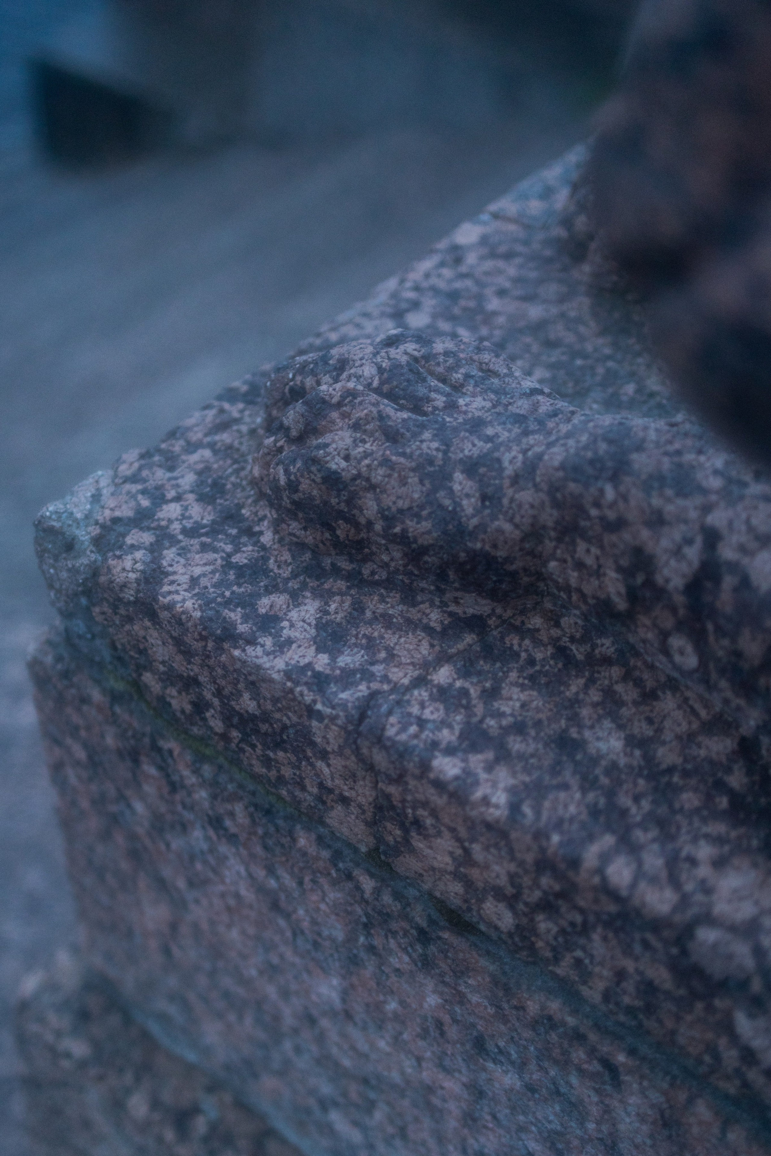 Эстетика П р о Я в л е н и я. Виноградова Маргарита. Фотограф P r o Явления