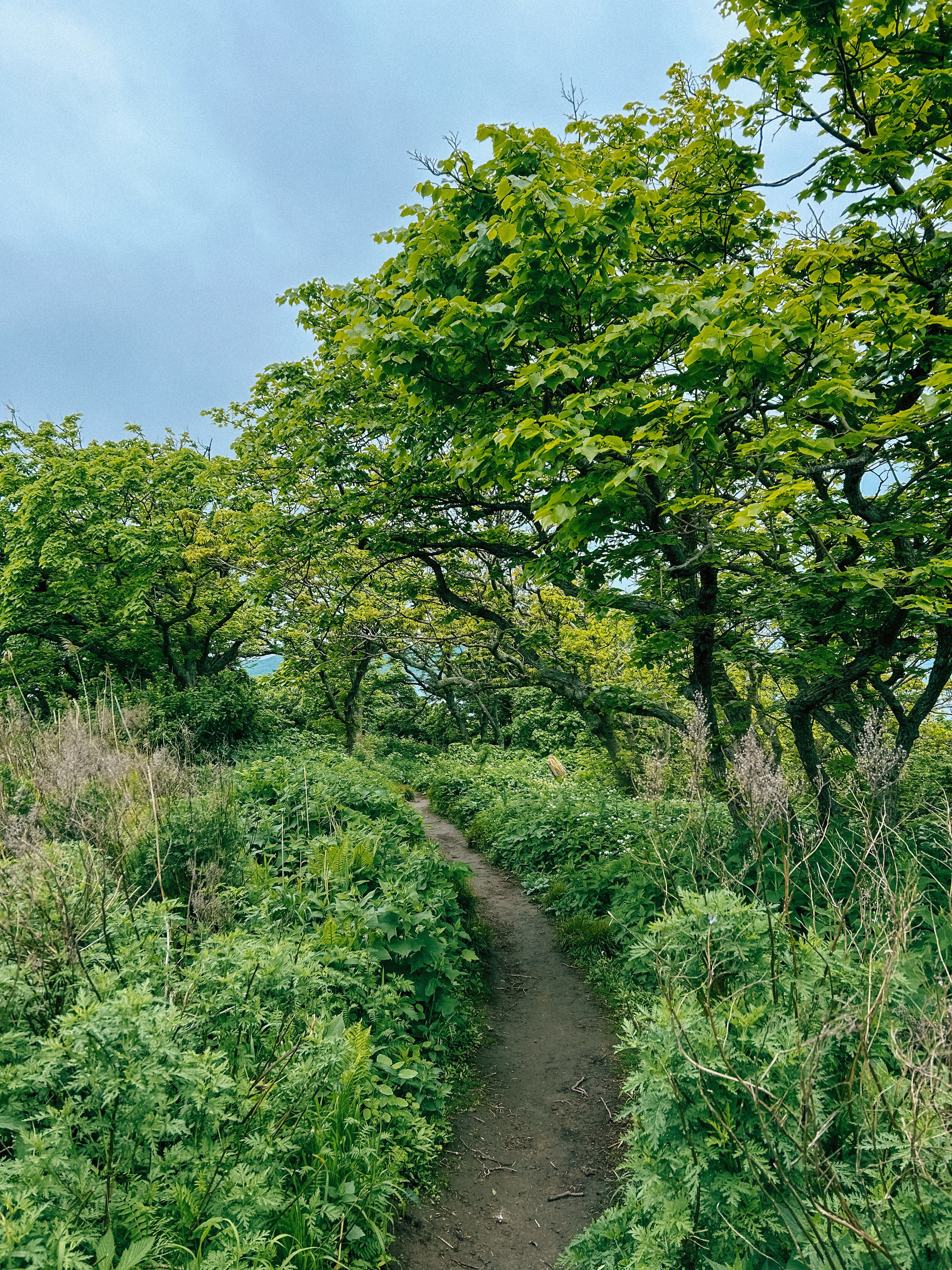 Владивосток. Фотограф Севастополь, Крым. Портретный и репортажный фотограф Коваленко Антонина