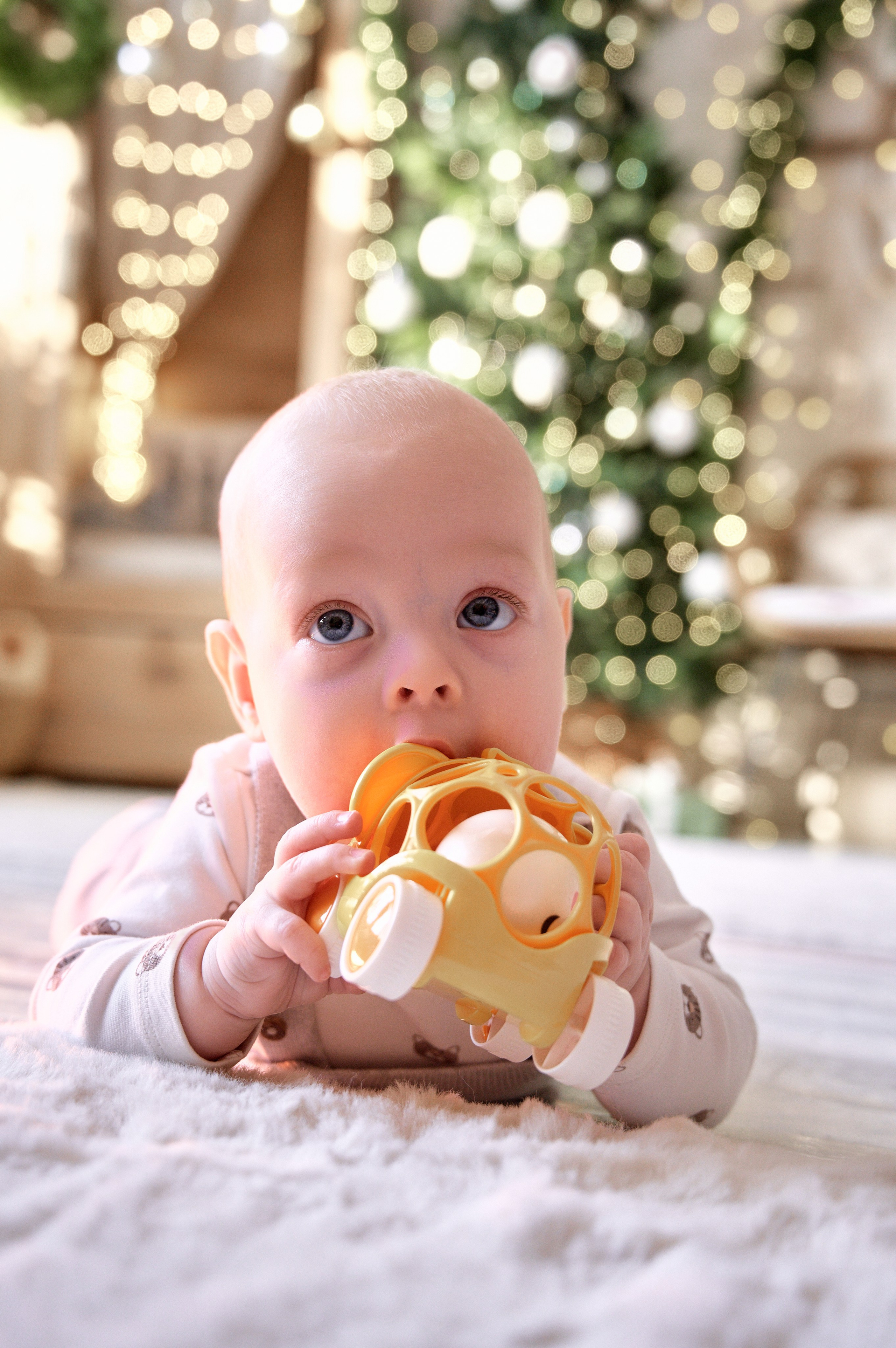 Семейная новогодняя фотосессия г Новокзнецк