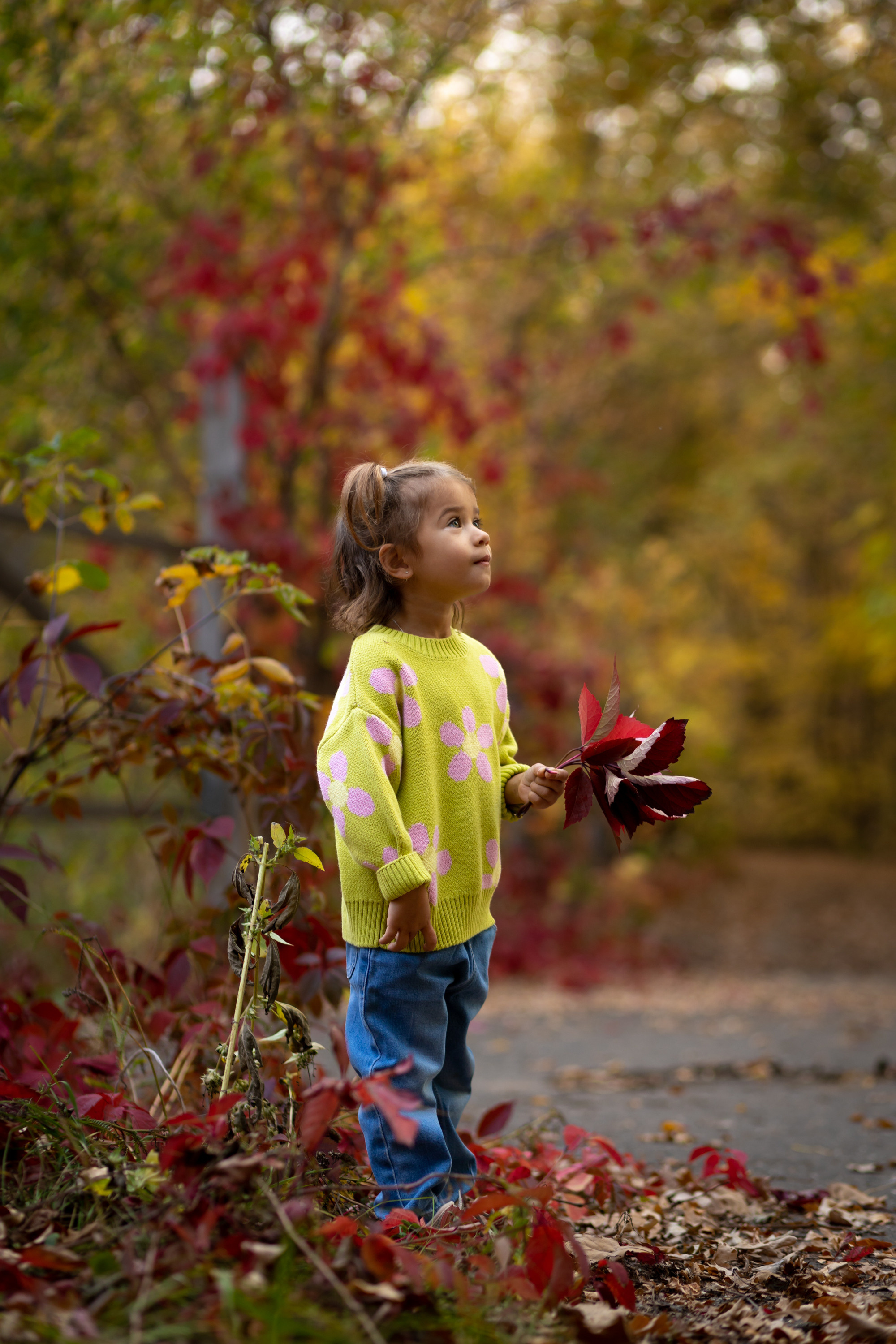 Осенняя фотосессия в Оренбурге. Фотограф в Оренбурге. Профессиональный фотограф