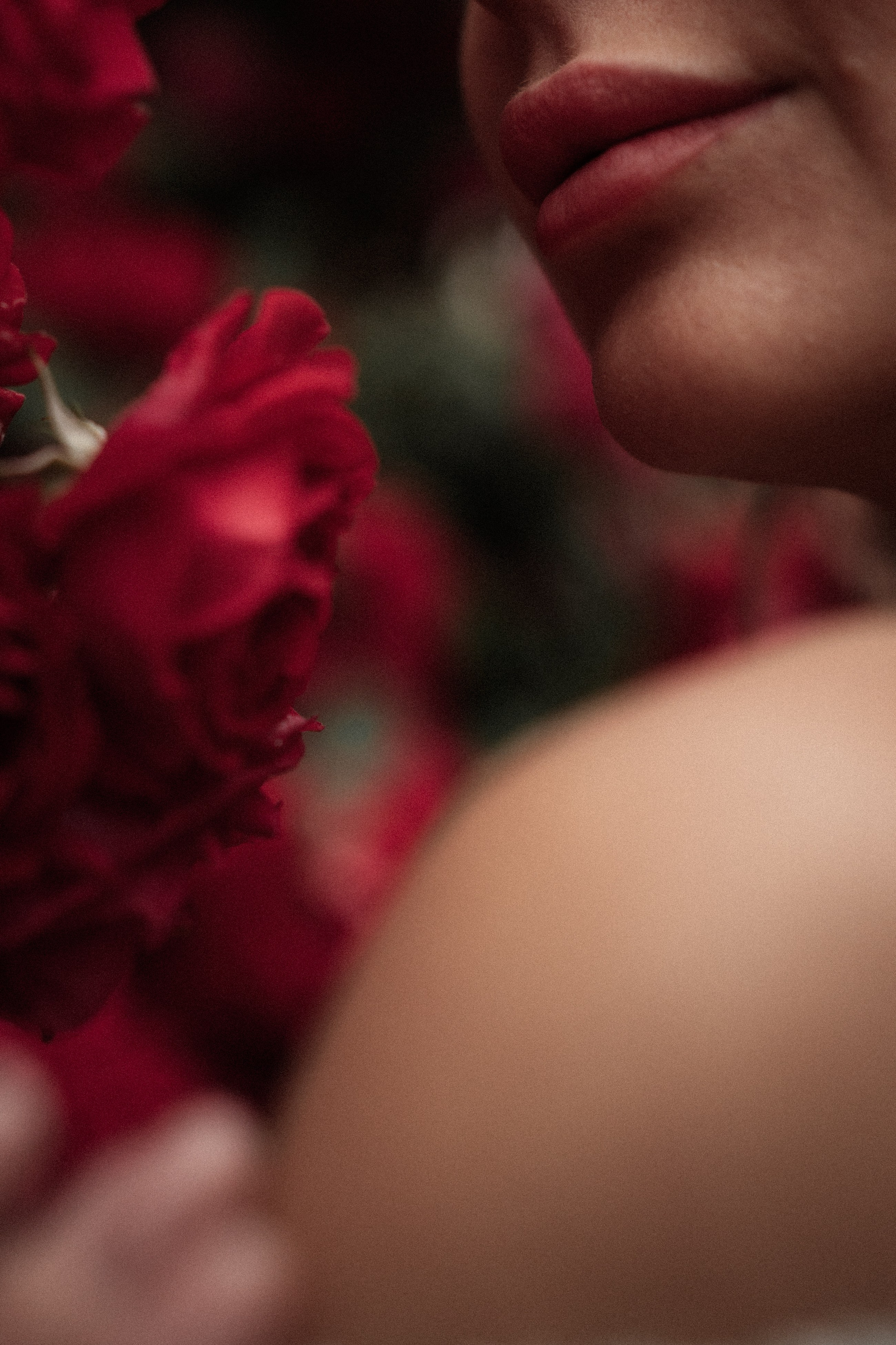 Лена розы. Дмитриева Светлана женский и семейный фотограф Рига, Москва, Геленджик