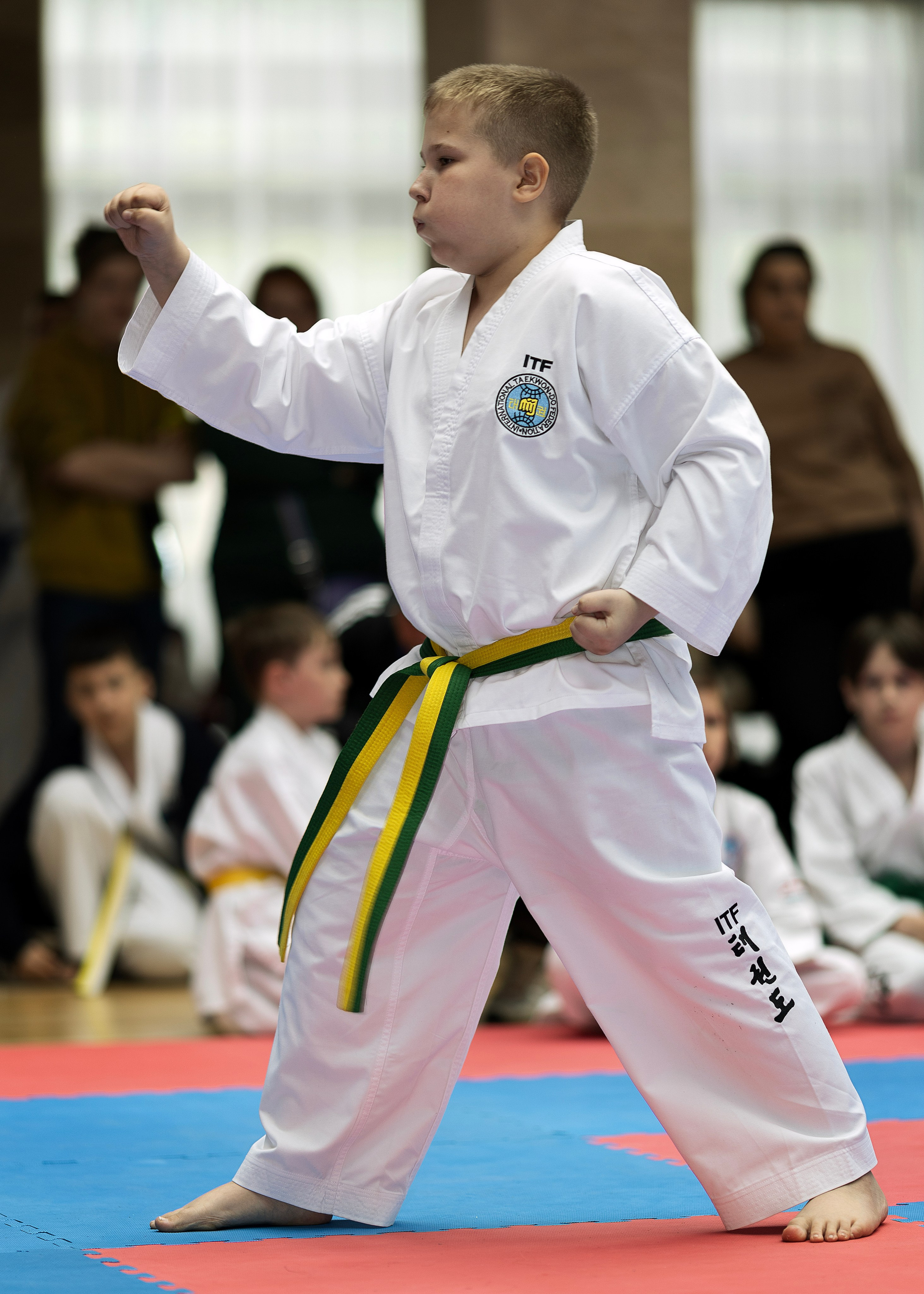 Фото турнира по Тхеквондо, проводимого в г. Железноводске. Медиапродюсер, фотограф в Минеральных Водах —Виктор Холодов