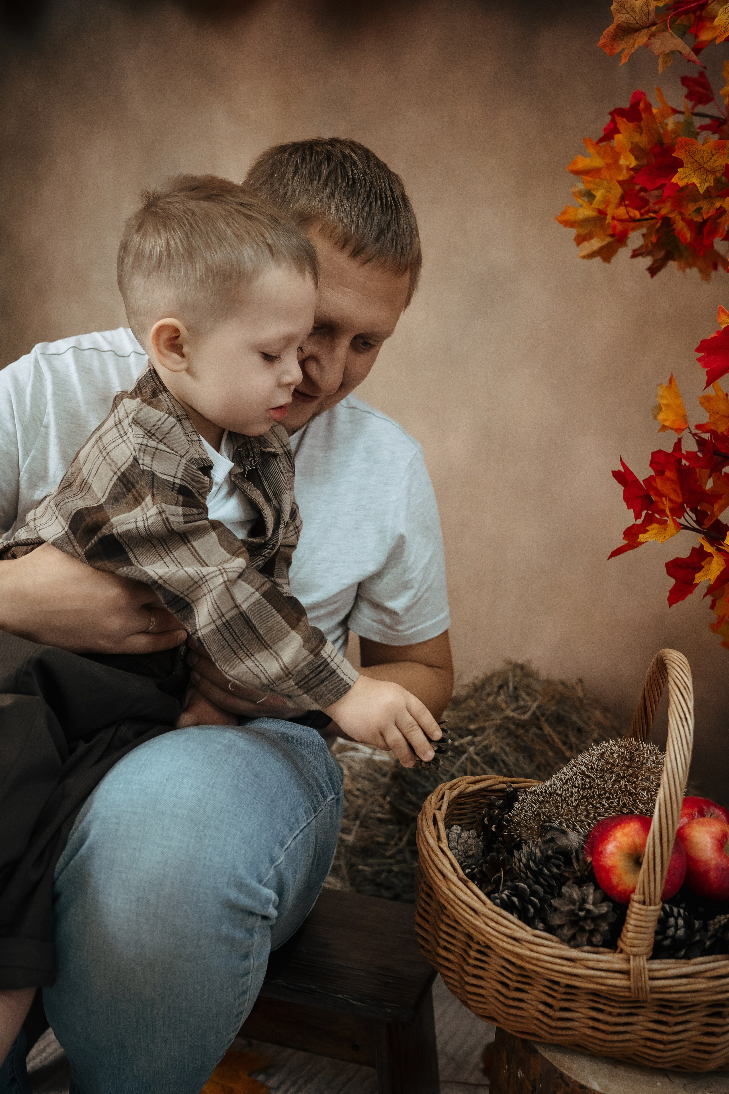 Ёжик. Фотограф Казакова Анастасия