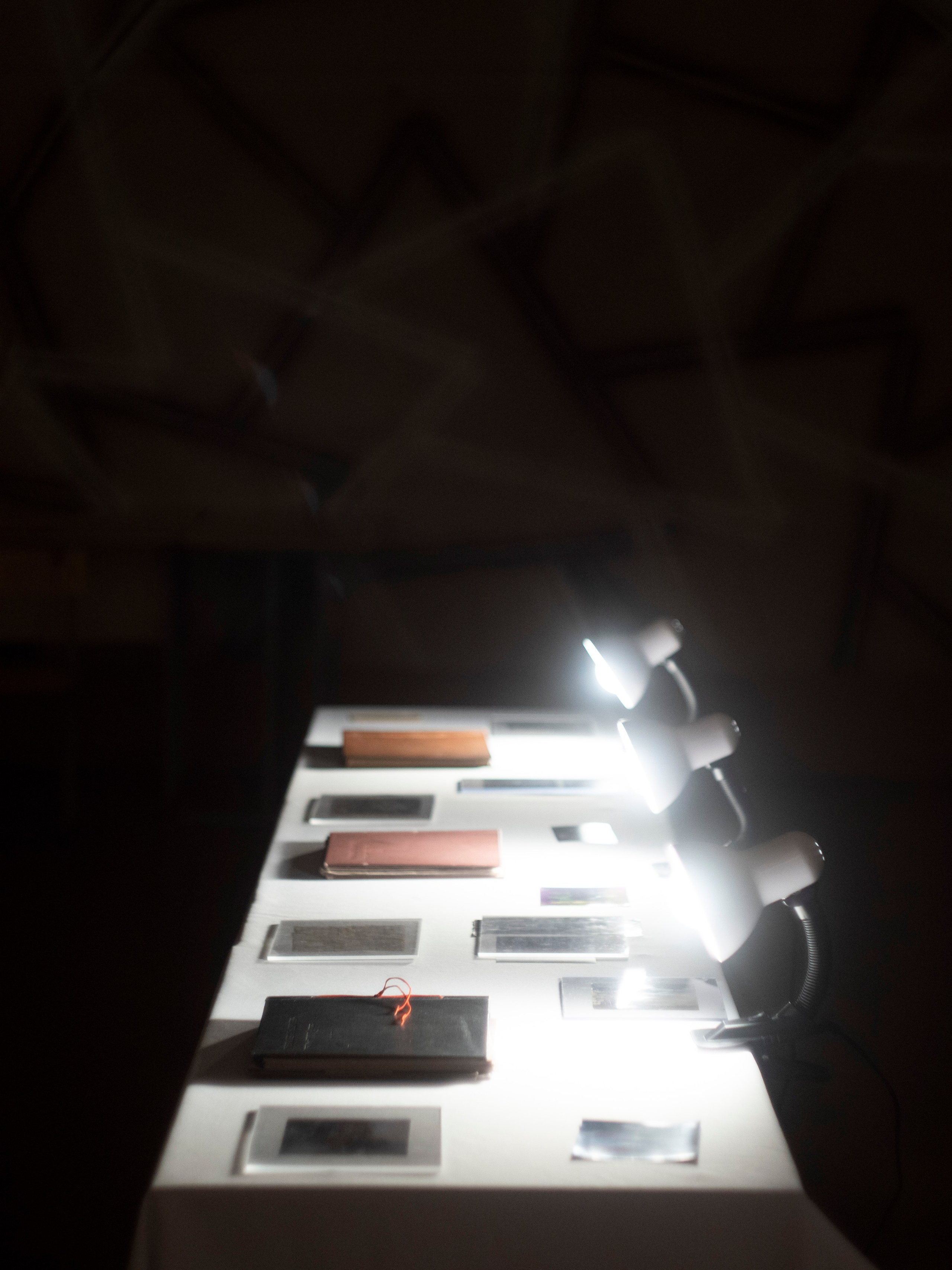 2 5 1. Daria Morozova