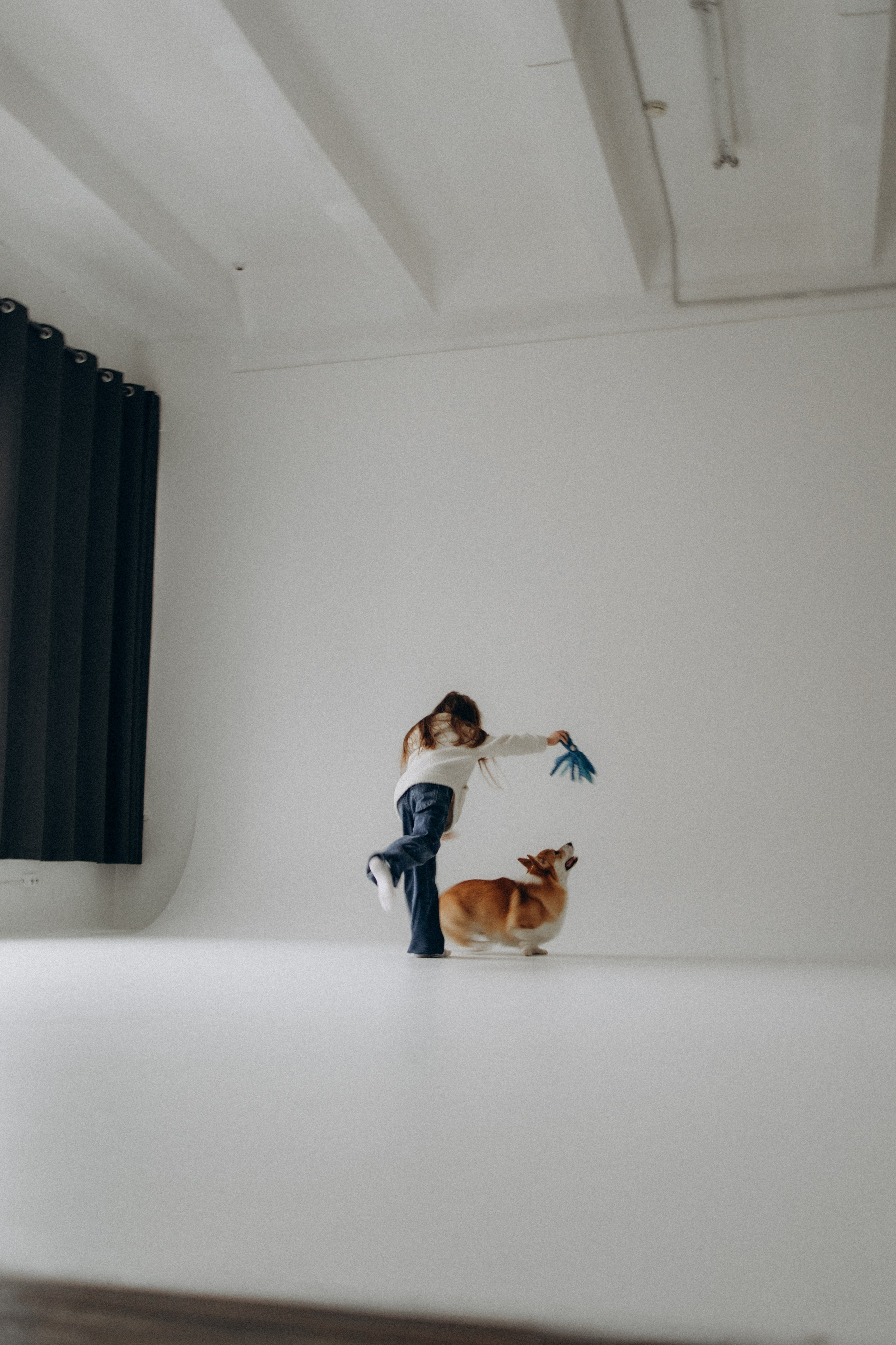 Зевс и его семья. Фотораф — анималист Мария Шистка