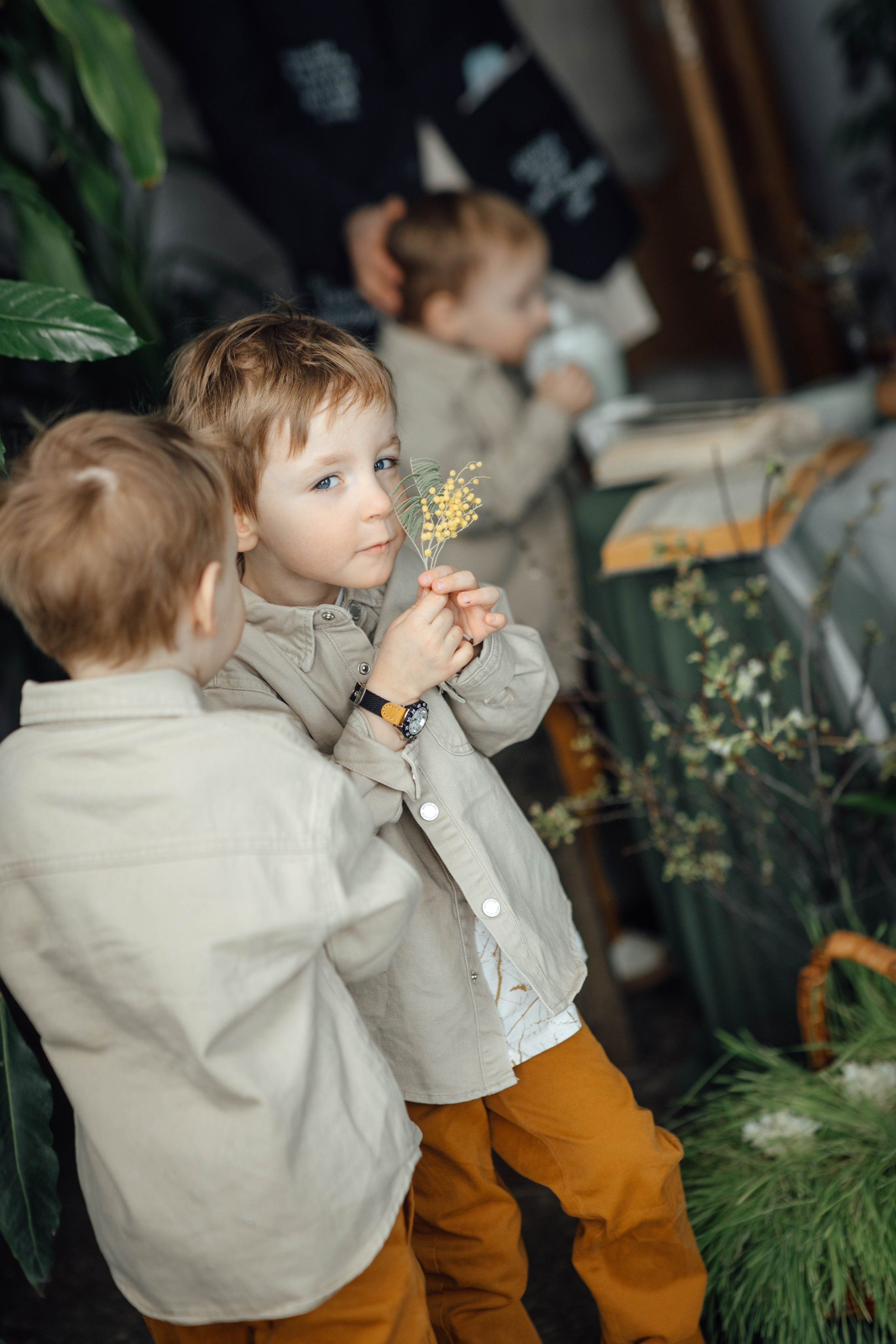 Семейная, апрель 2025