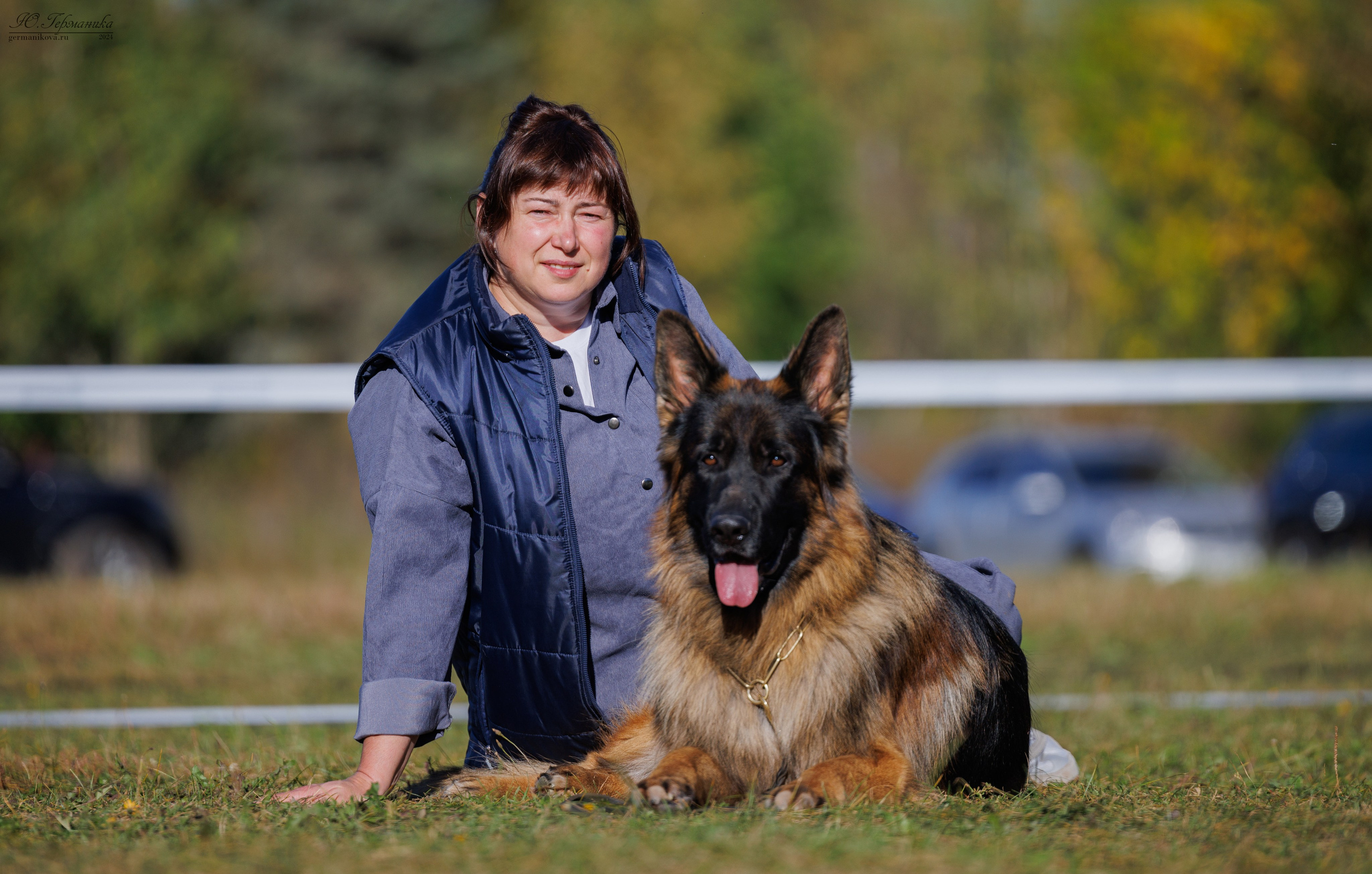 Тверь немецкие овчарки 22.09.2024. Фотограф-анималист Юлия Германика