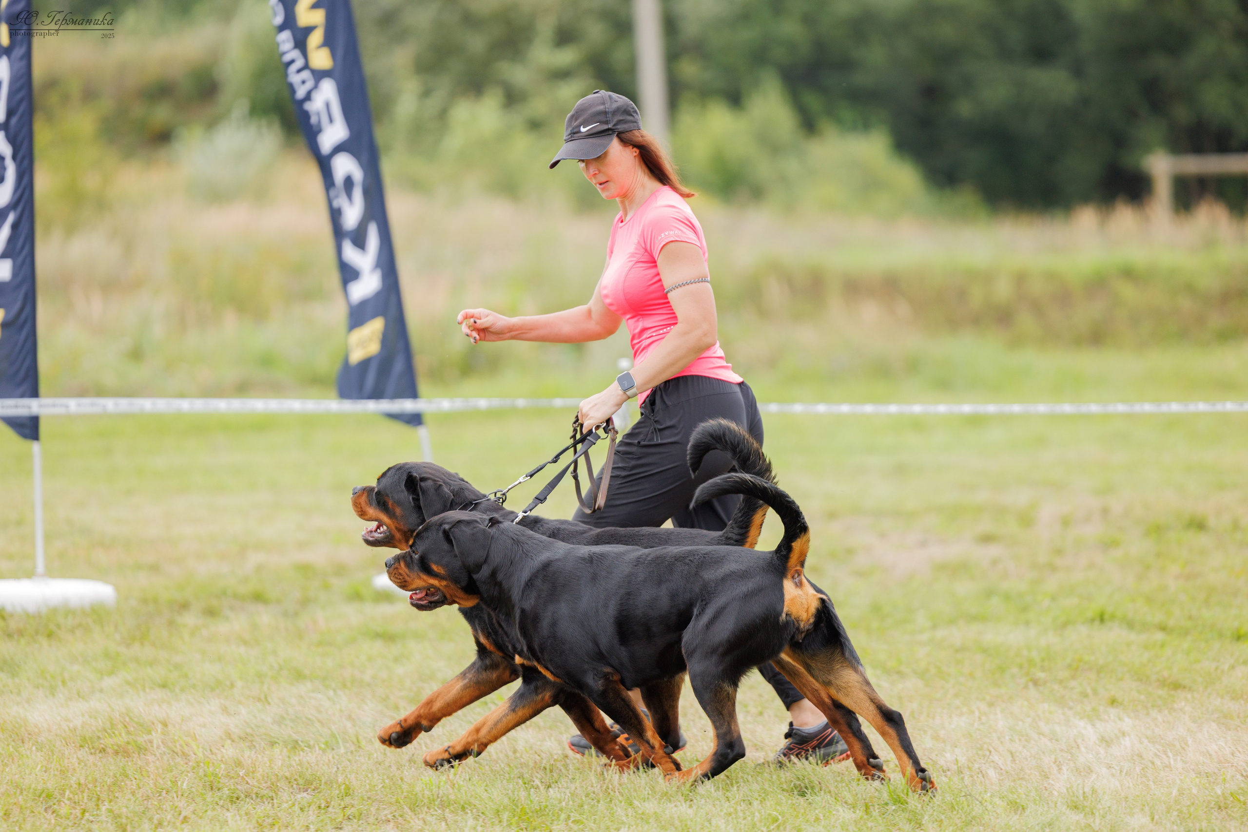 Рязань 2хмоно ротвейлеры 16-17.08.2025. Фотограф-анималист Юлия Германика