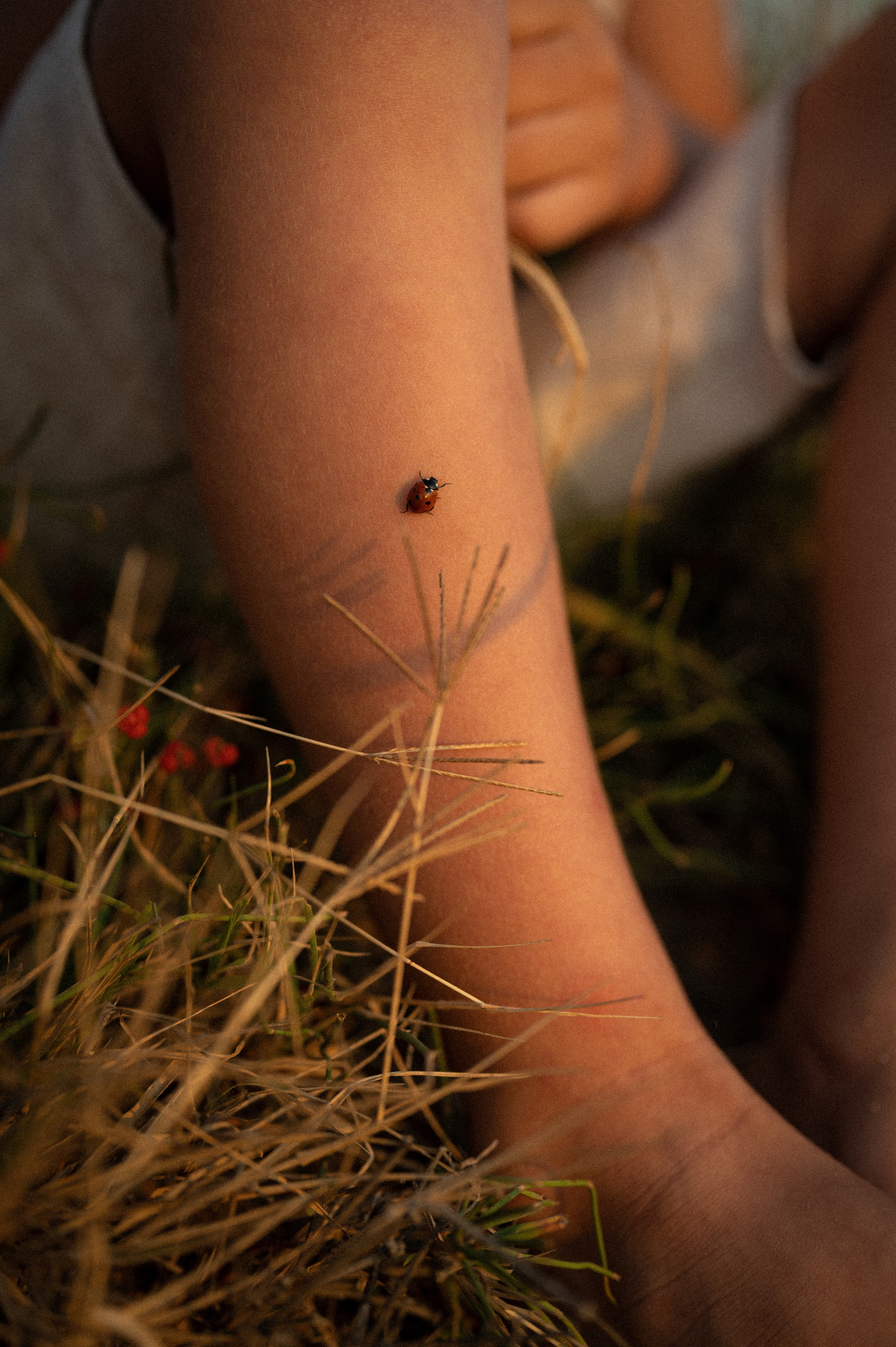 Детский и семейный фотограф в Москве Алина Климанова