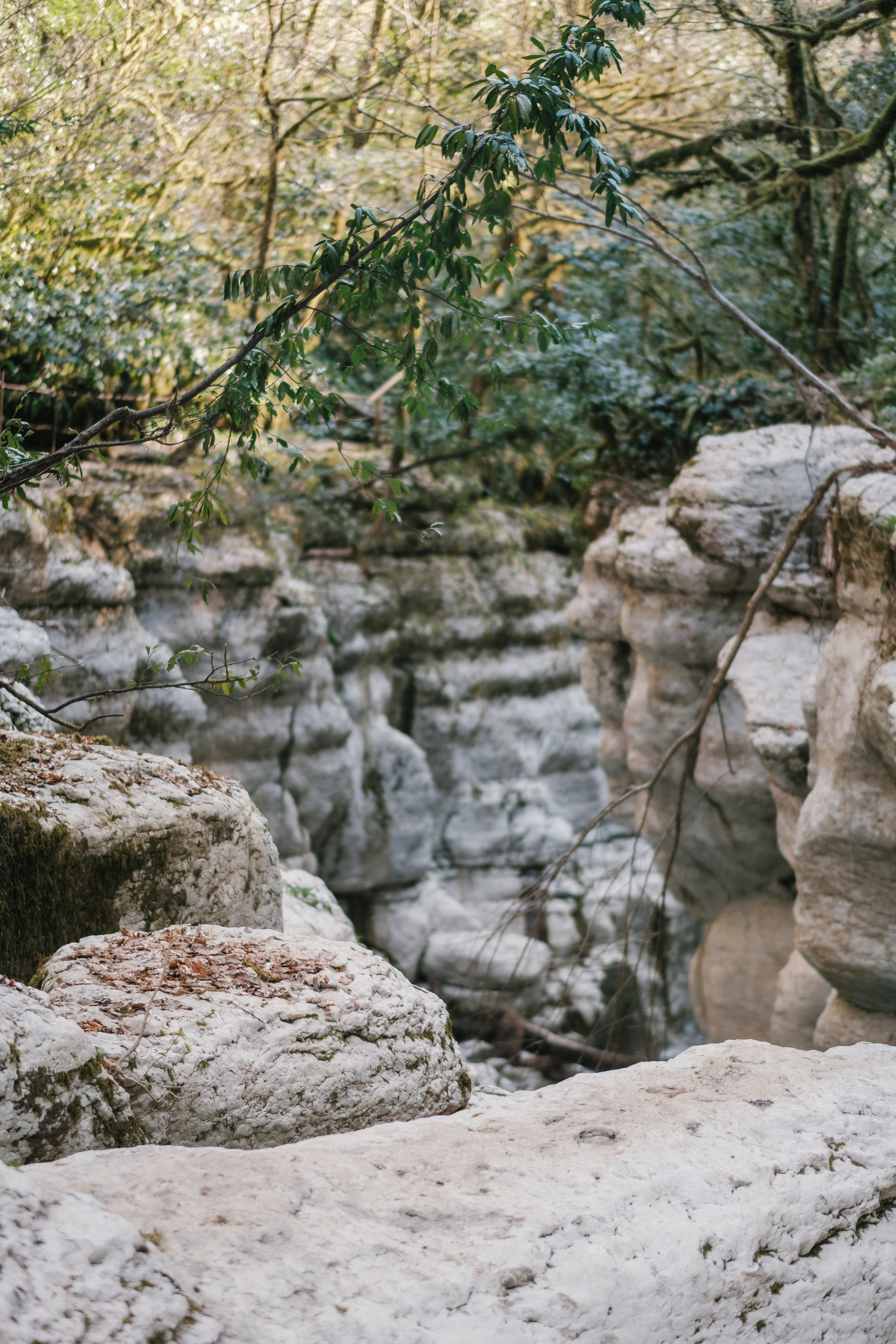 Белые скалы. Свадебный Видеограф Фотограф в Сочи