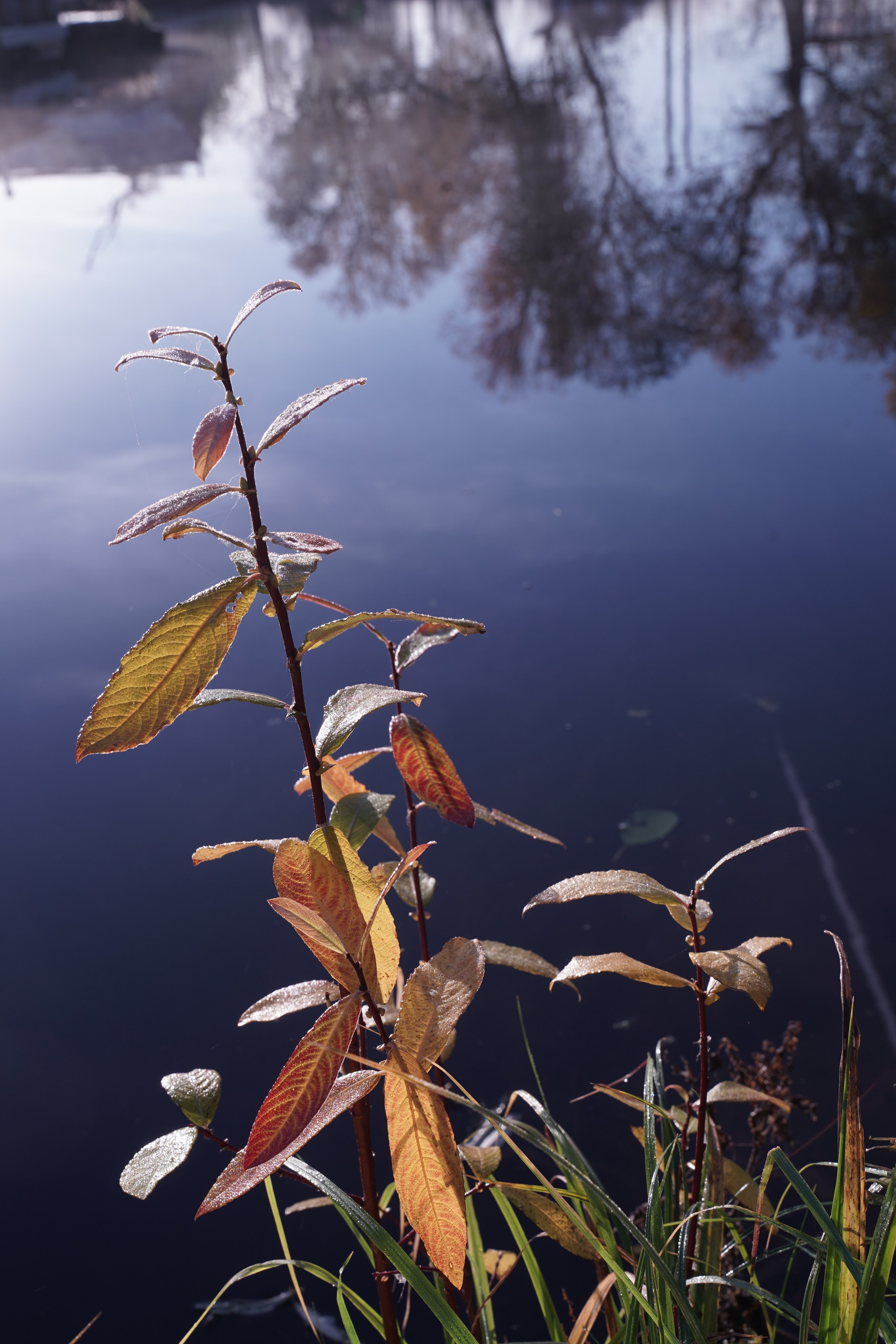 Бекстейдж съемки сериала. Krasnopoliophoto