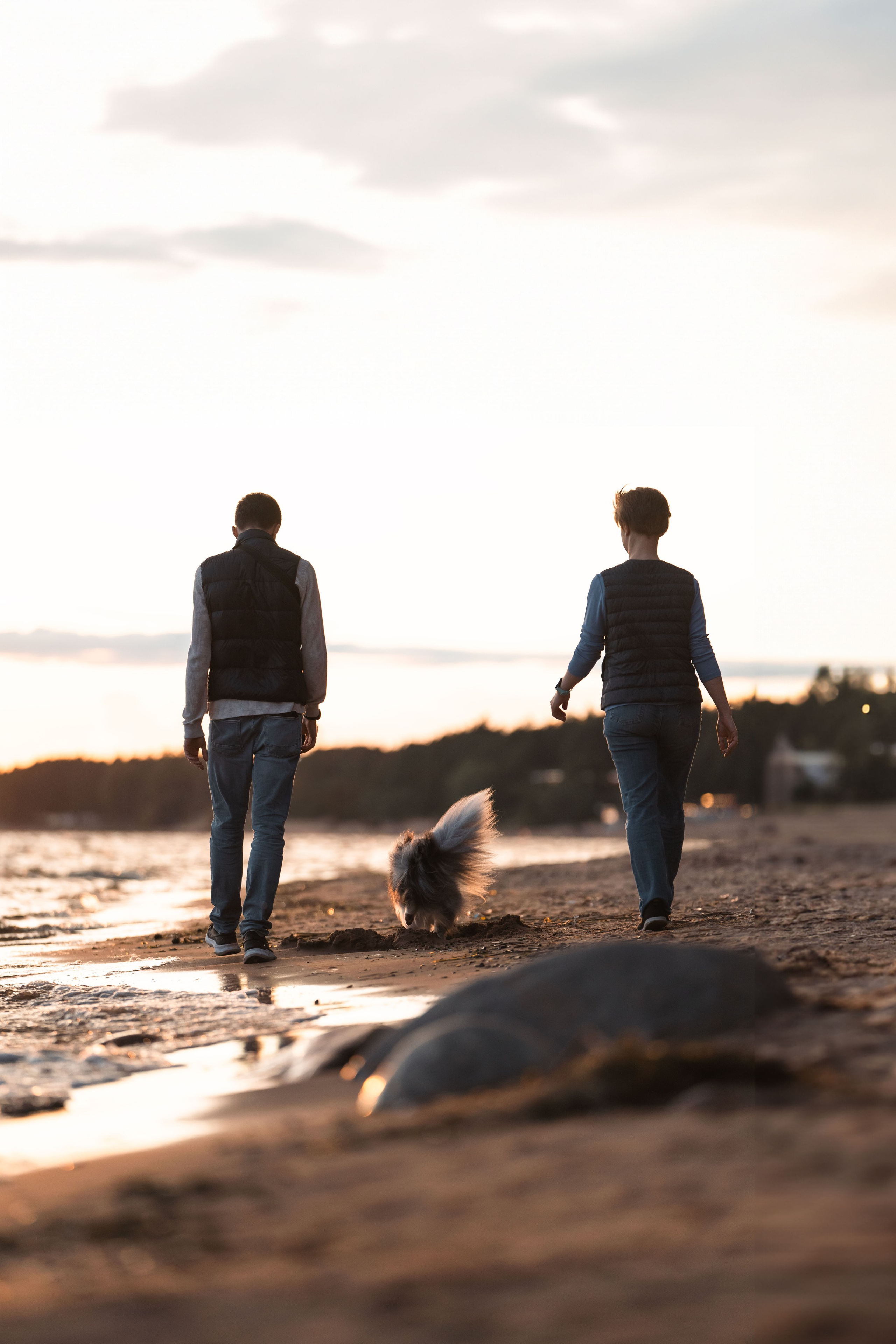 Лесная Элис. Фотограф анималист