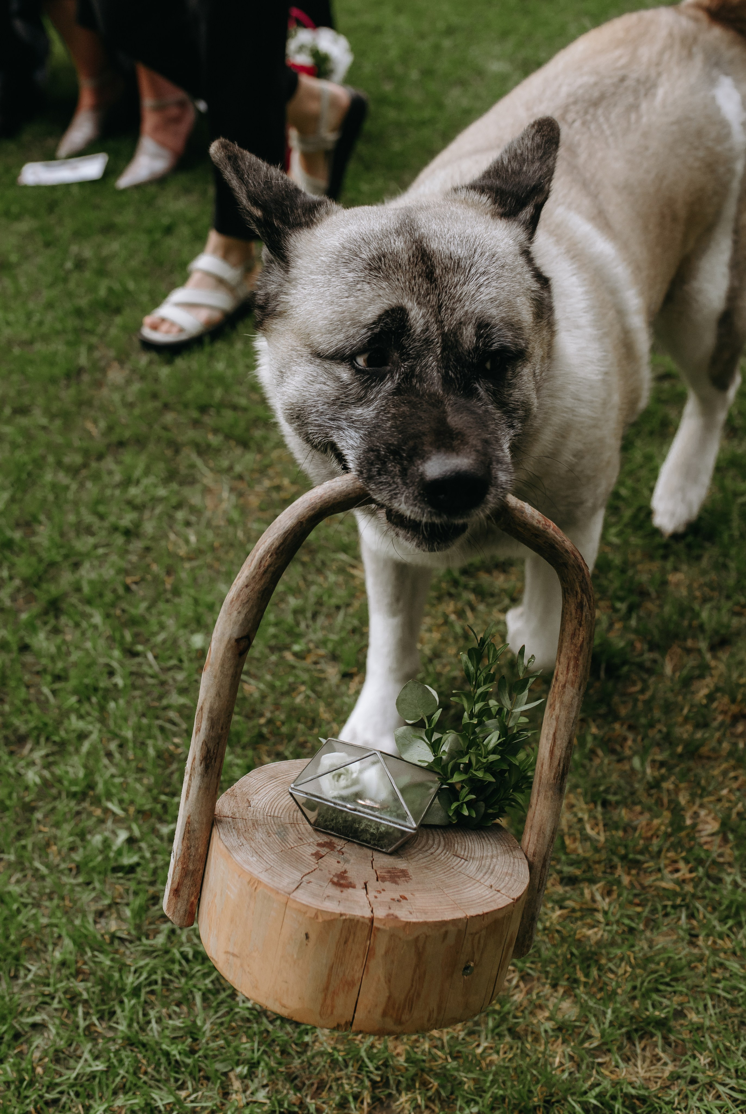 Лесная Поляна. Свадебный фотограф в Минске Вадим Бурчик