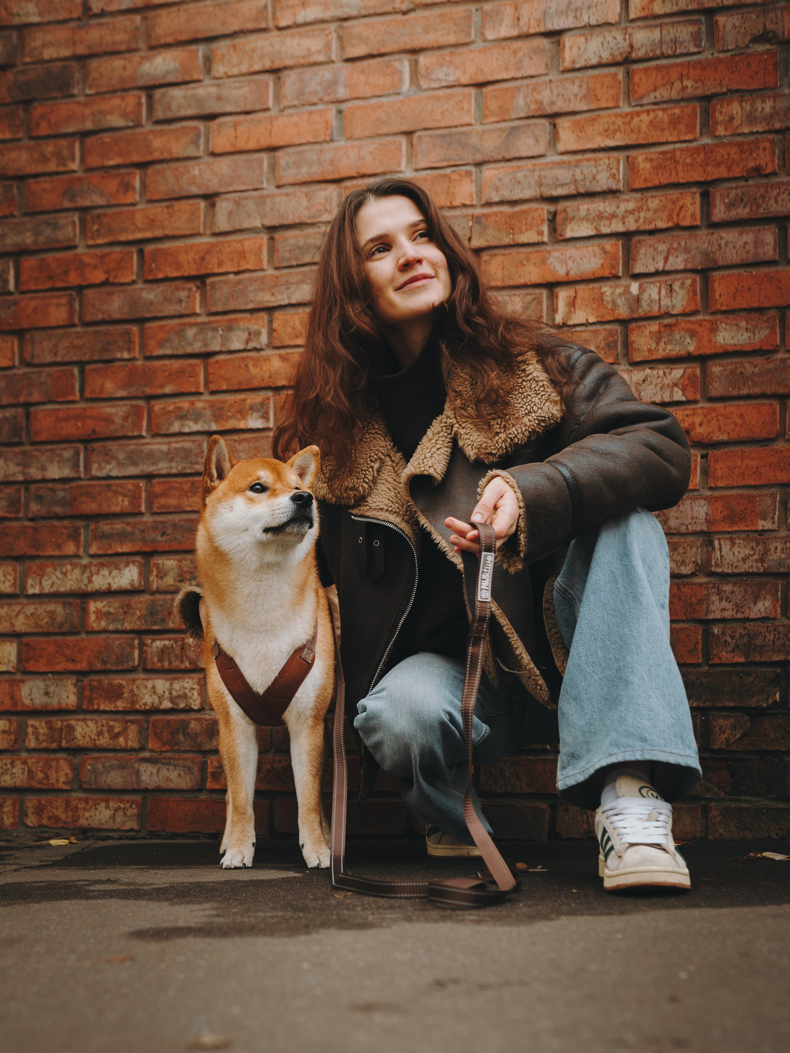 Pawsitive. Семейный фотограф анималист Ананьева Мария — Москва