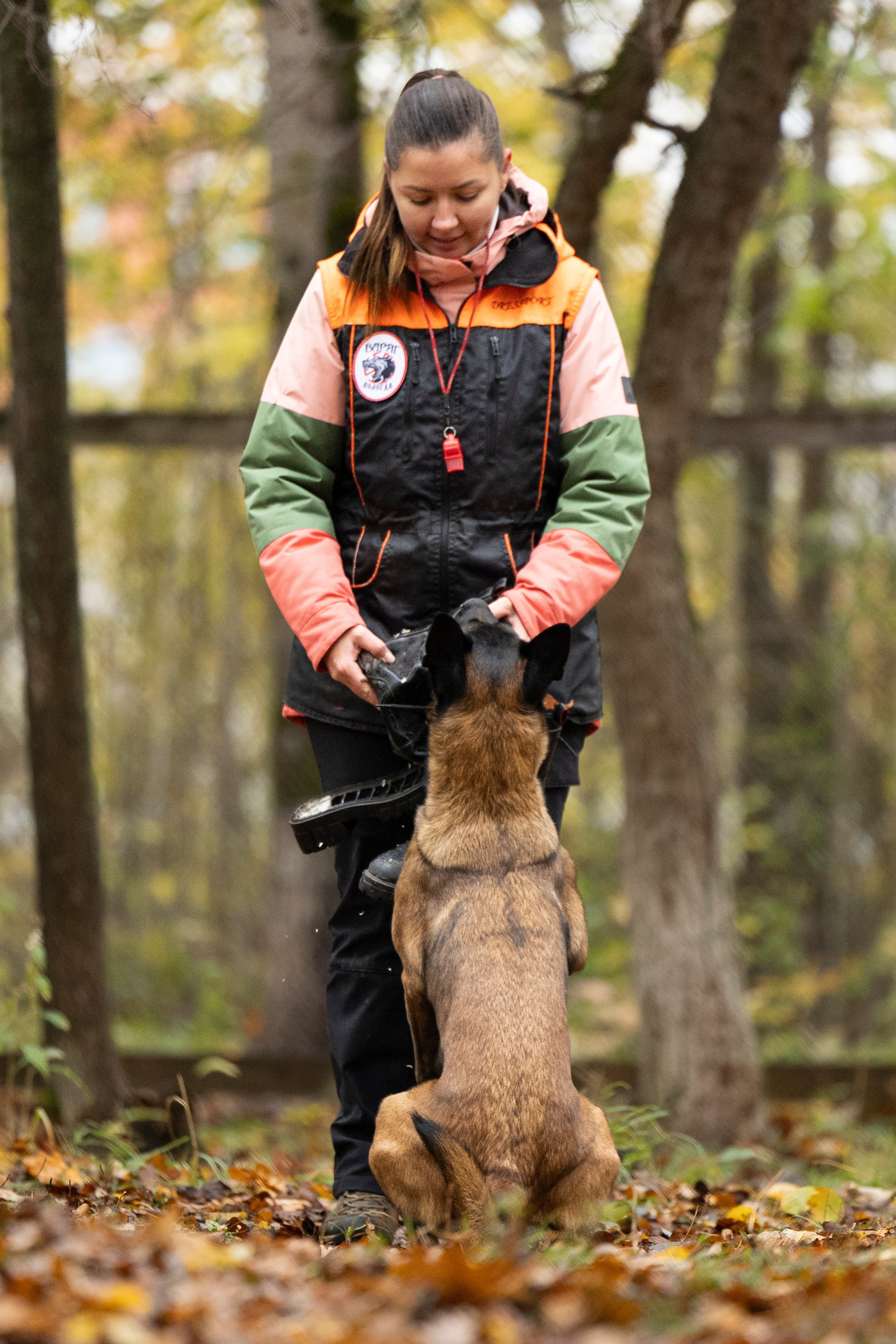 Соревнования по Мондьорингу г. Вологда. Фотограф-анималист Анна Маринич