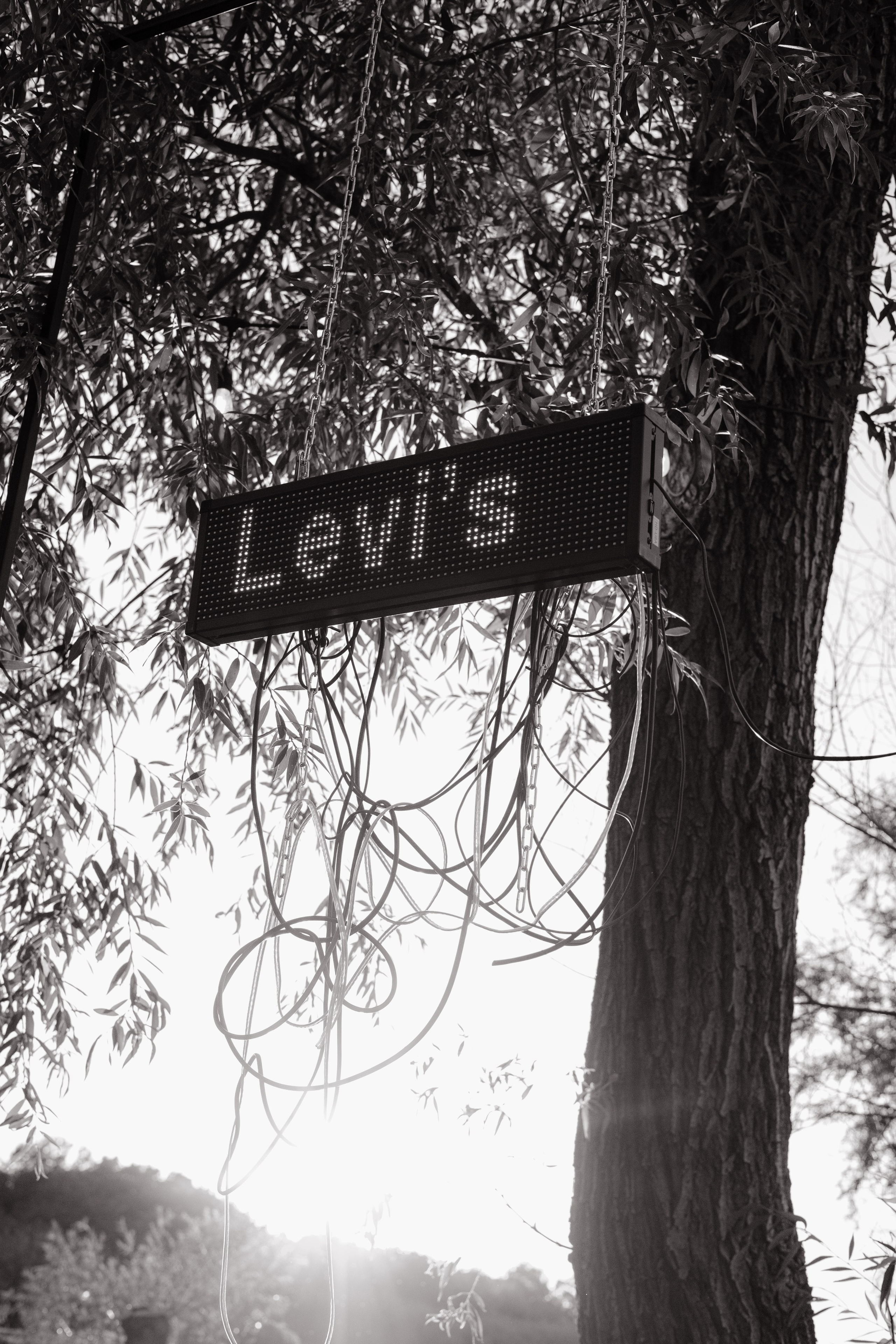 LEVI'S LUV. Fusion Wedding Photographer