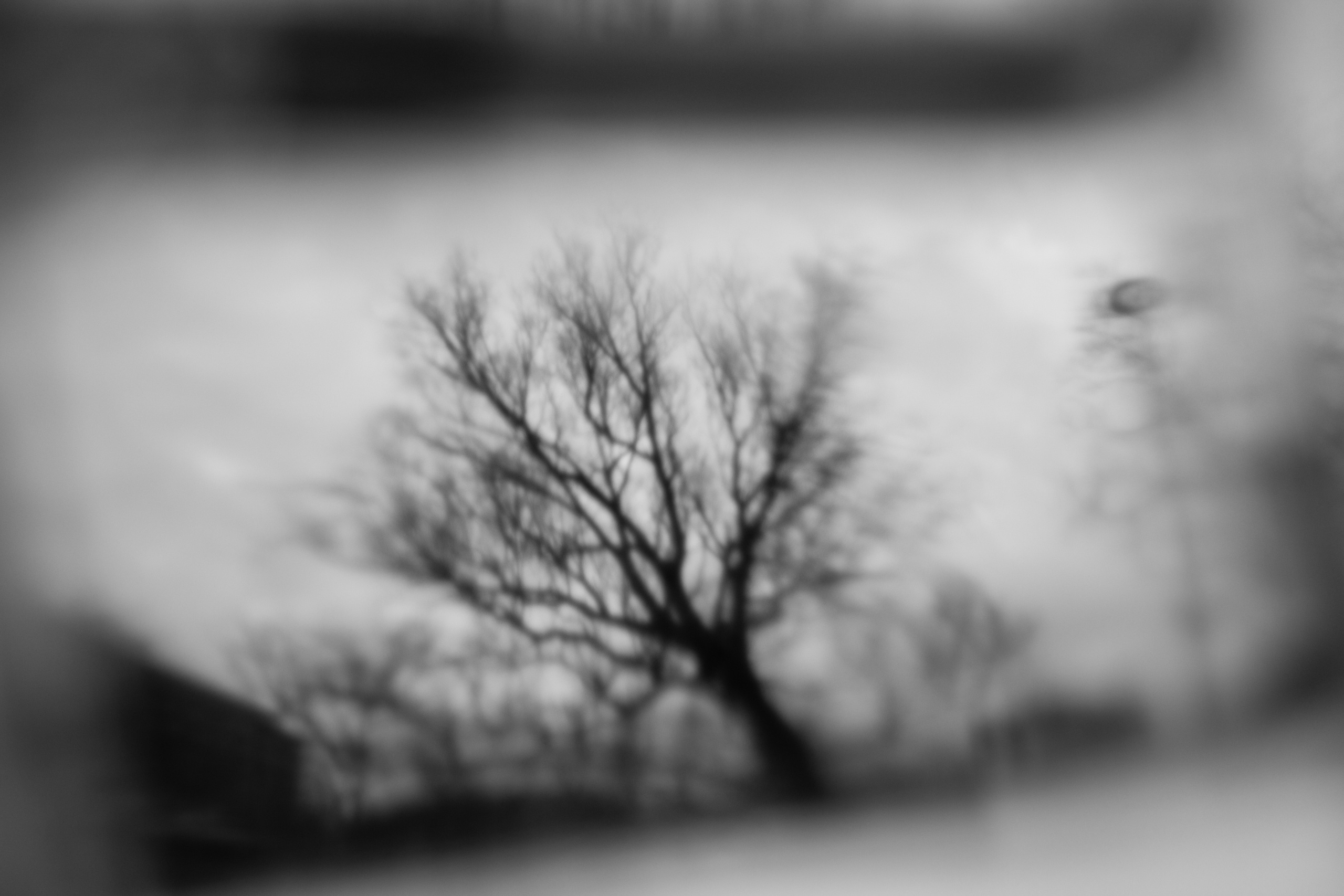 listen to the silence (2018 — in progress)