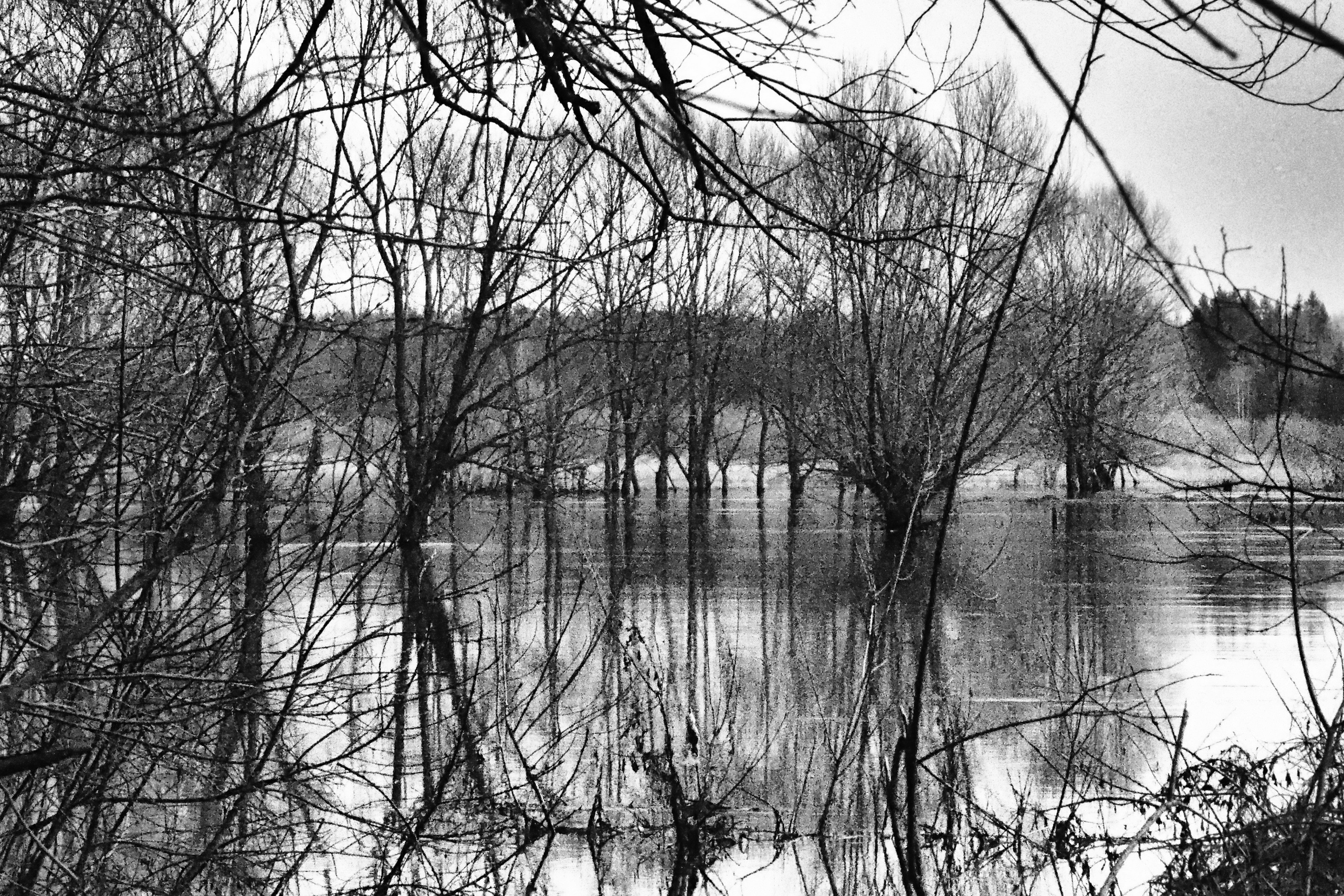 Хулиганизмы. Главная