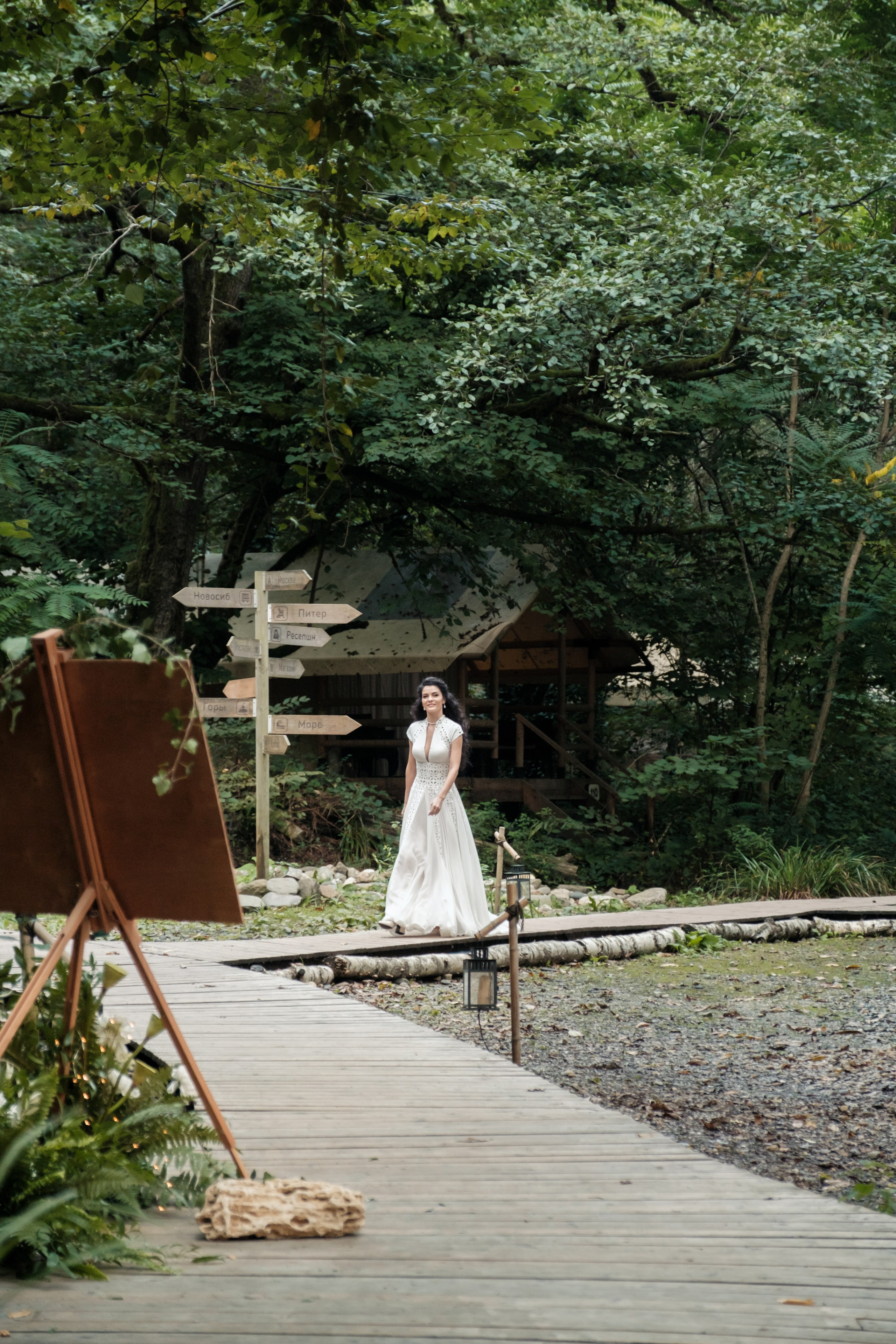 Кот и Дракон. Свадебный Видеограф Фотограф в Сочи