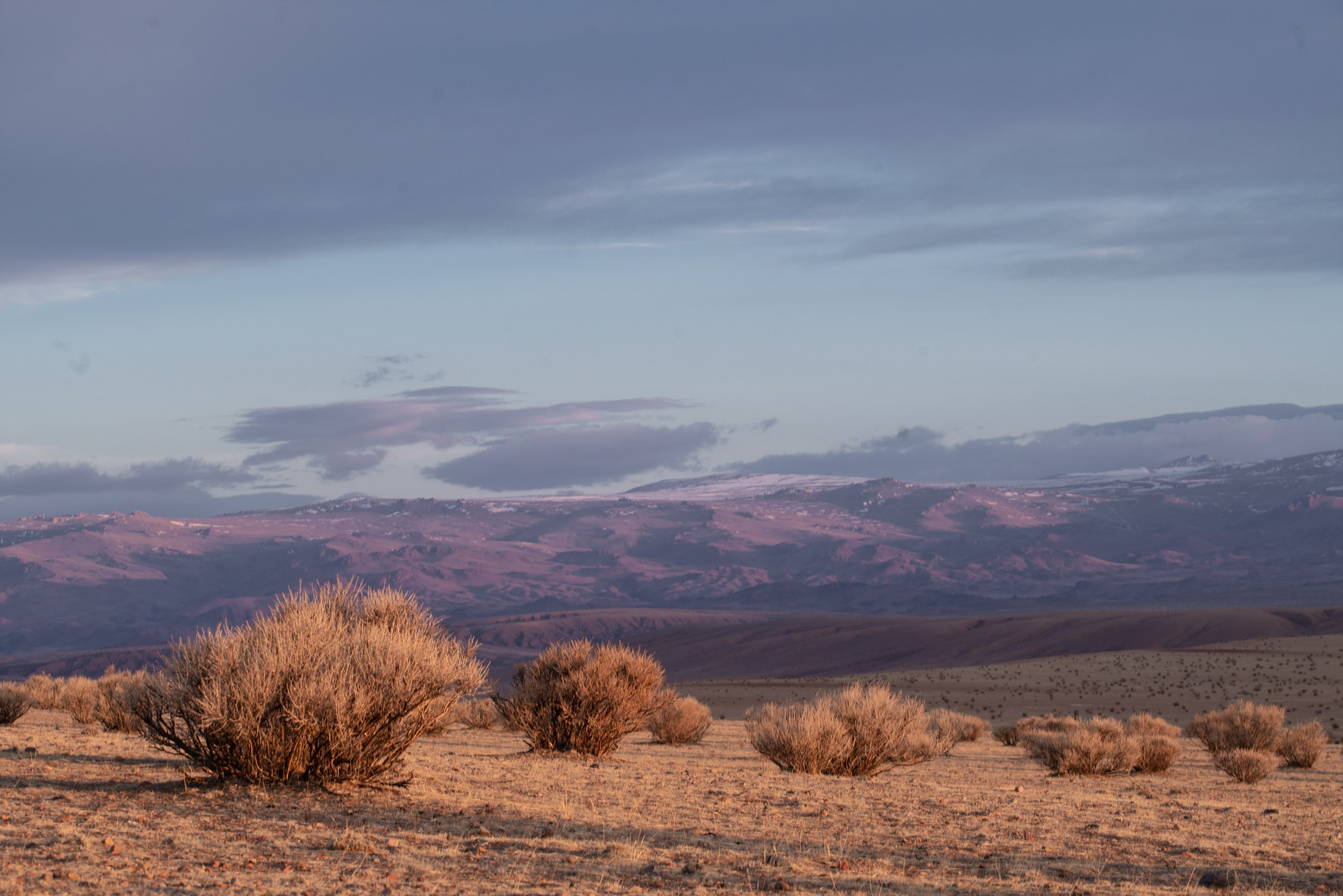 Монголия. Фотограф в Красноярске Нерозя Александр. Пейзаж, природа, портрет