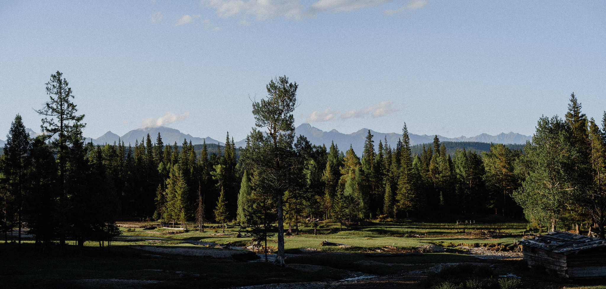 Дмитрий и Елена. Свадебный фотограф в Москве Денис Анурьев