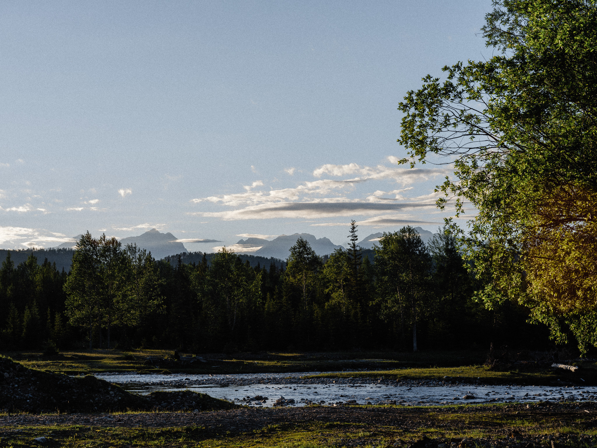 Дмитрий и Елена. Свадебный фотограф в Москве Денис Анурьев