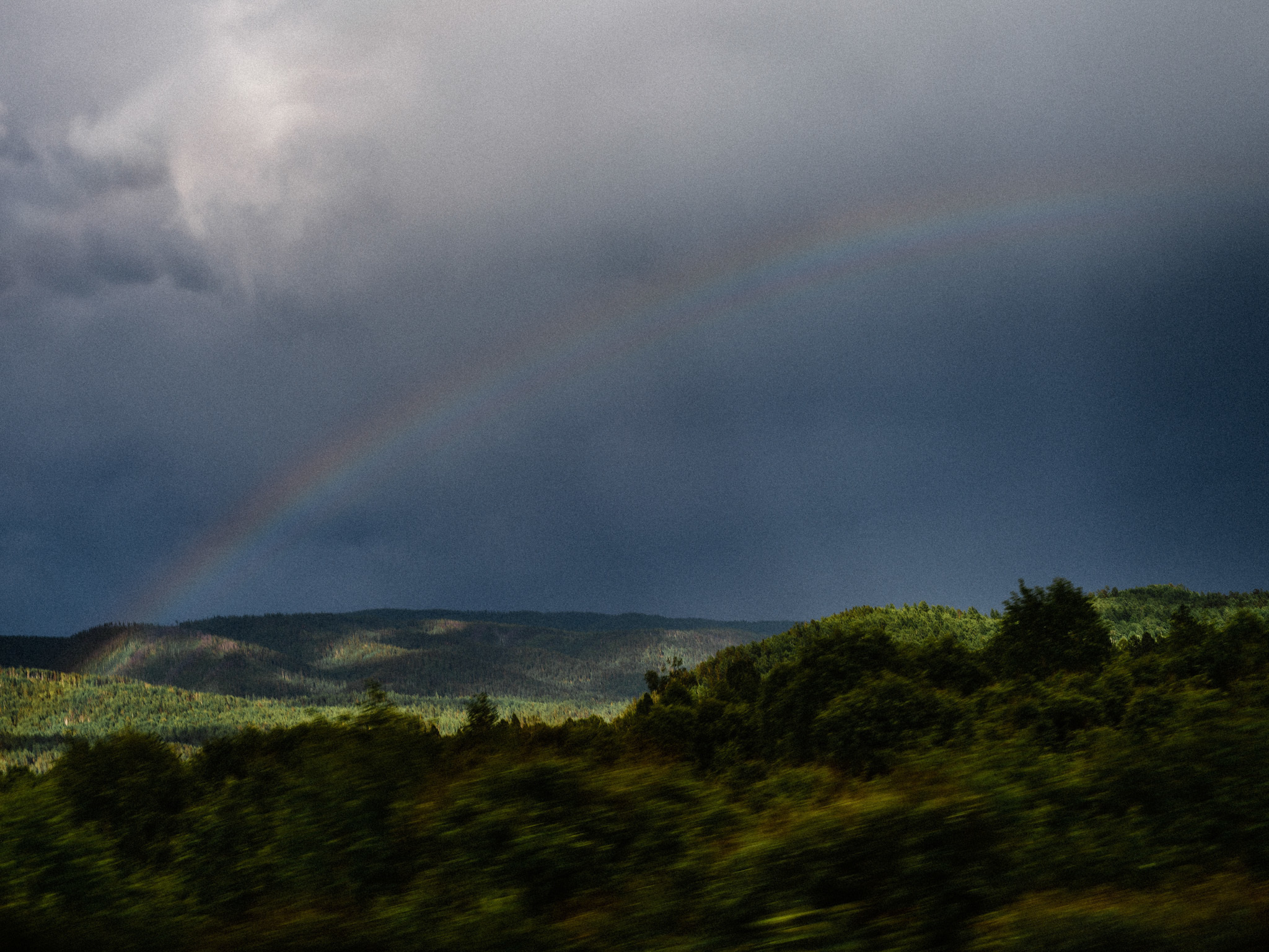 Дмитрий и Елена. Свадебный фотограф в Москве Денис Анурьев