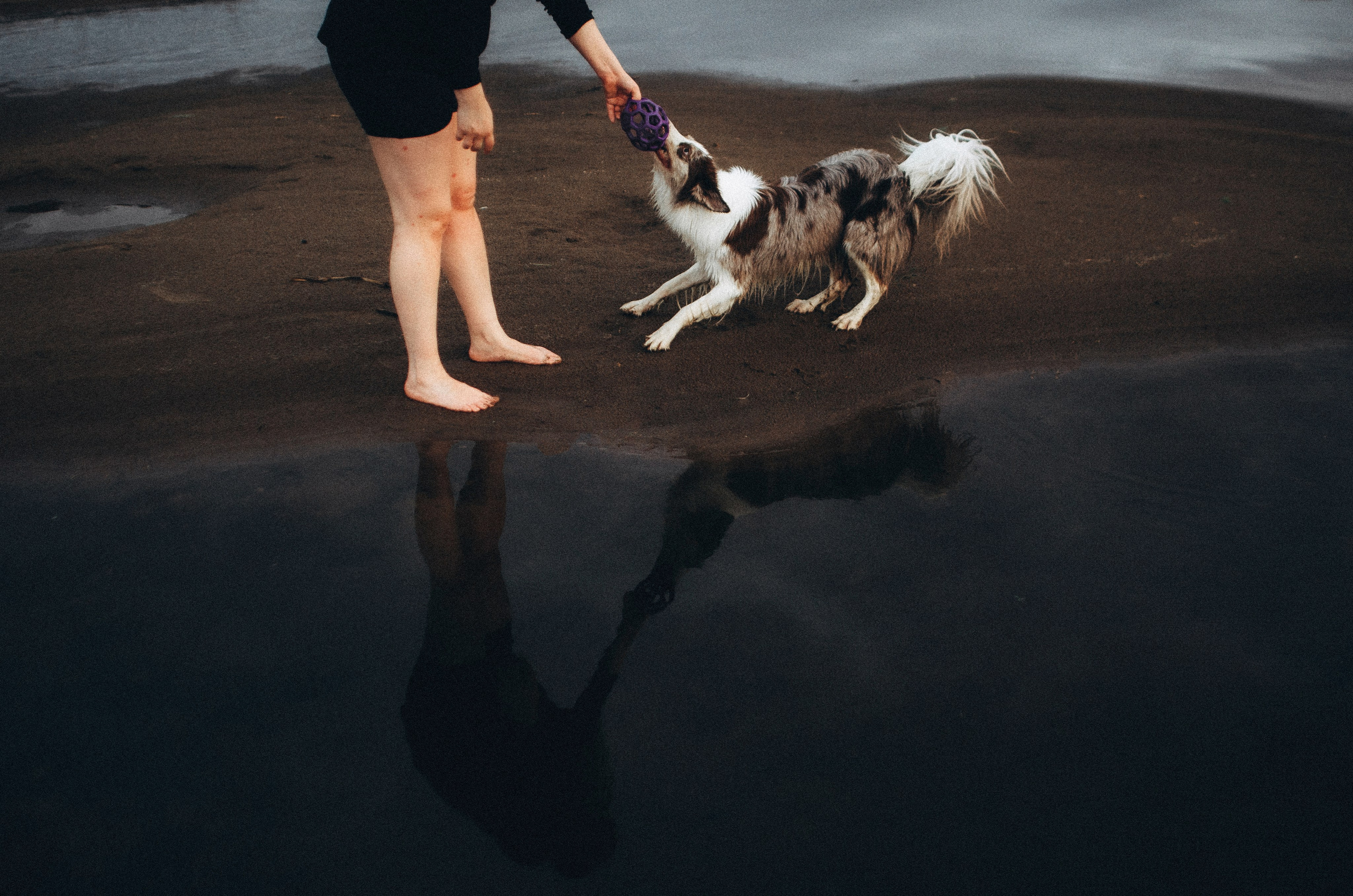 Алина и Бруна. Фотограф-анималист Богданова Полина