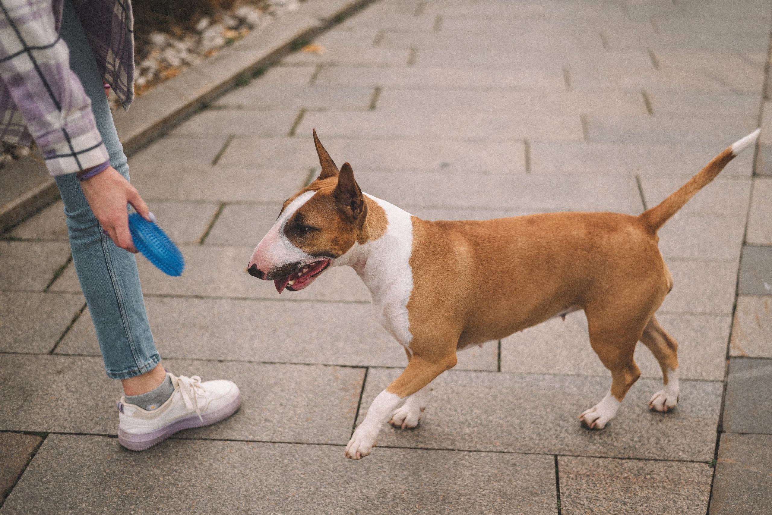 Маша и Рулька. Фотограф-анималист Богданова Полина
