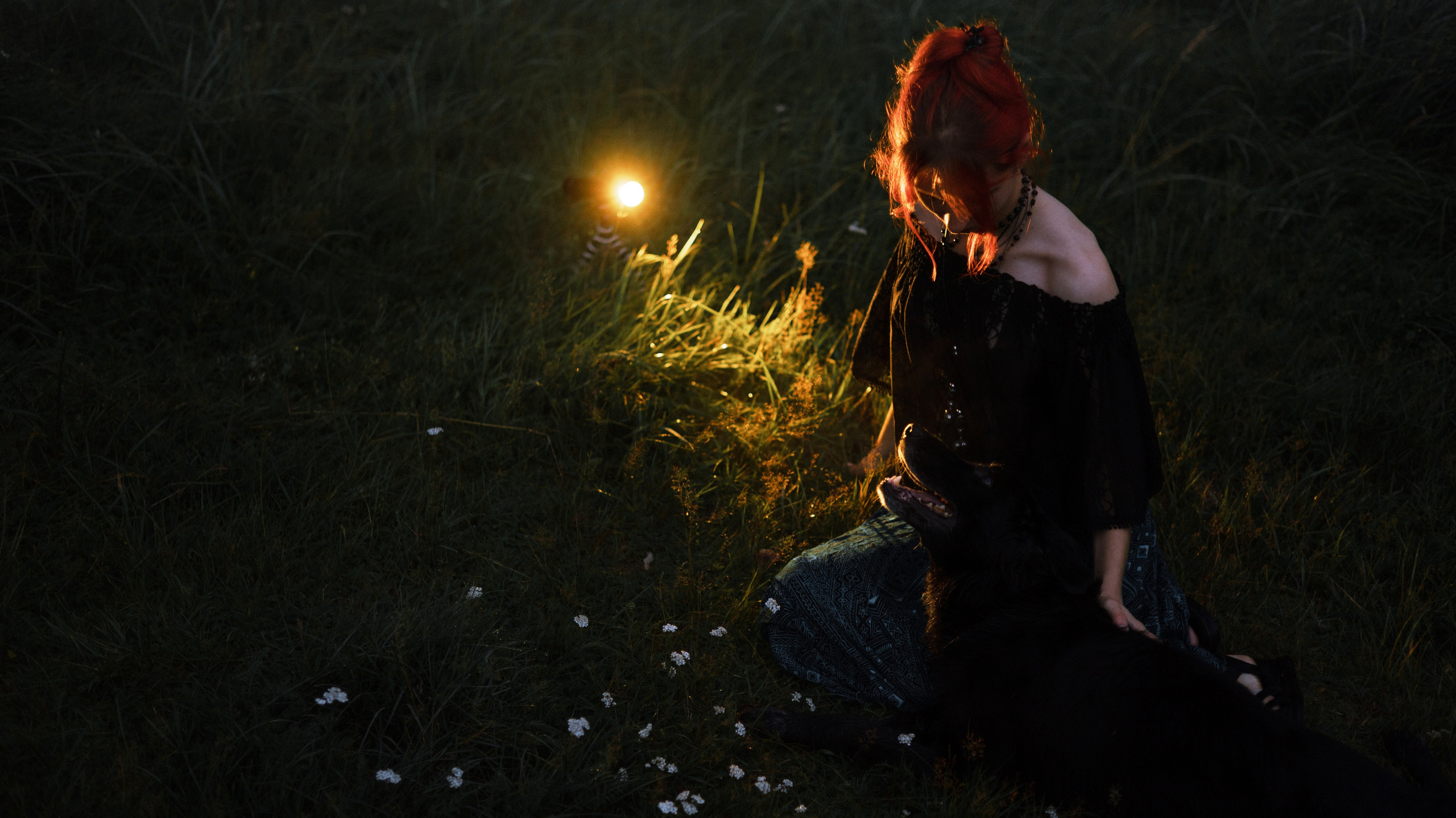 Лиза и Коди. Фотограф-анималист Богданова Полина