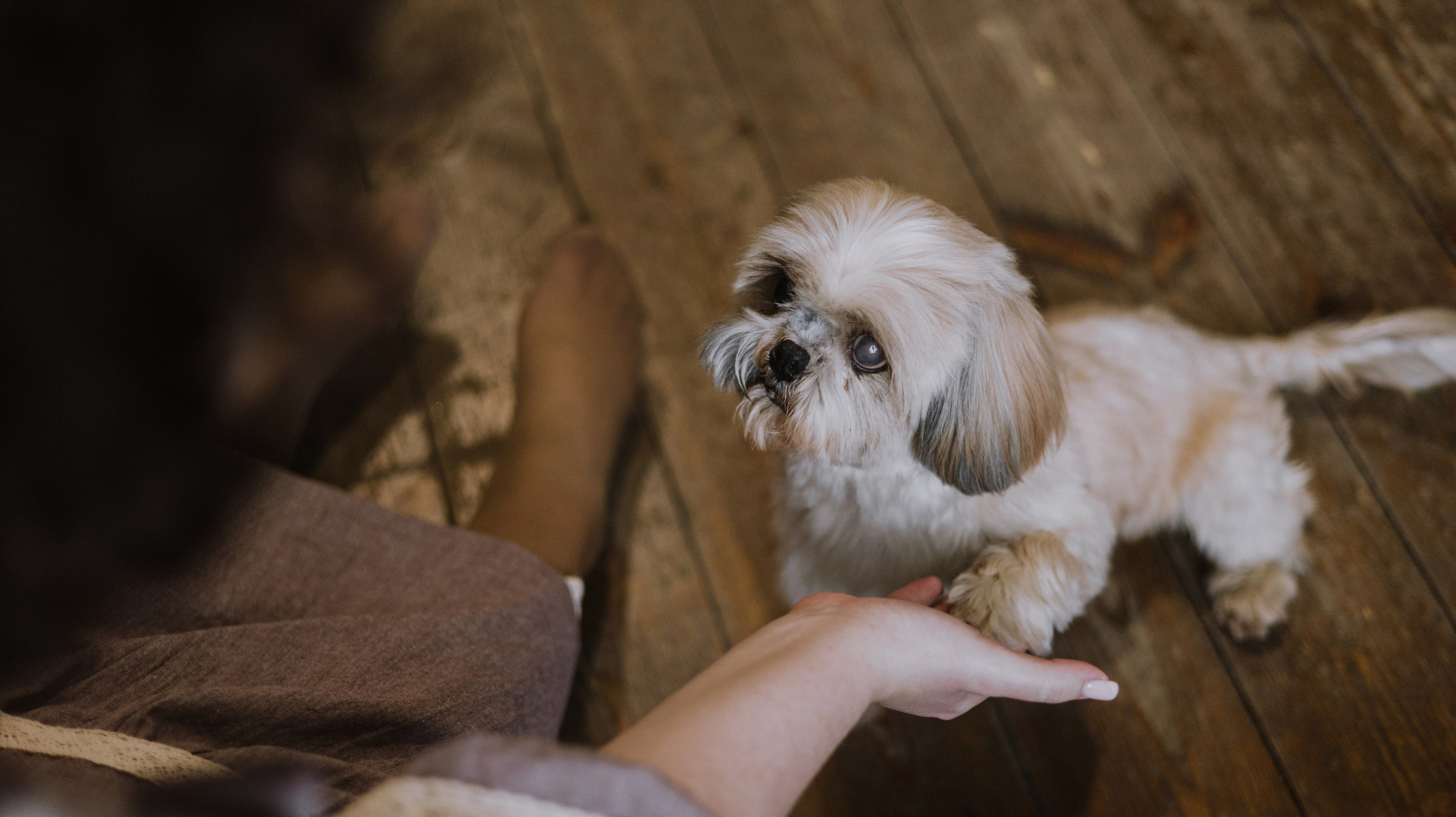 Ирина и Винни. Фотограф-анималист Богданова Полина