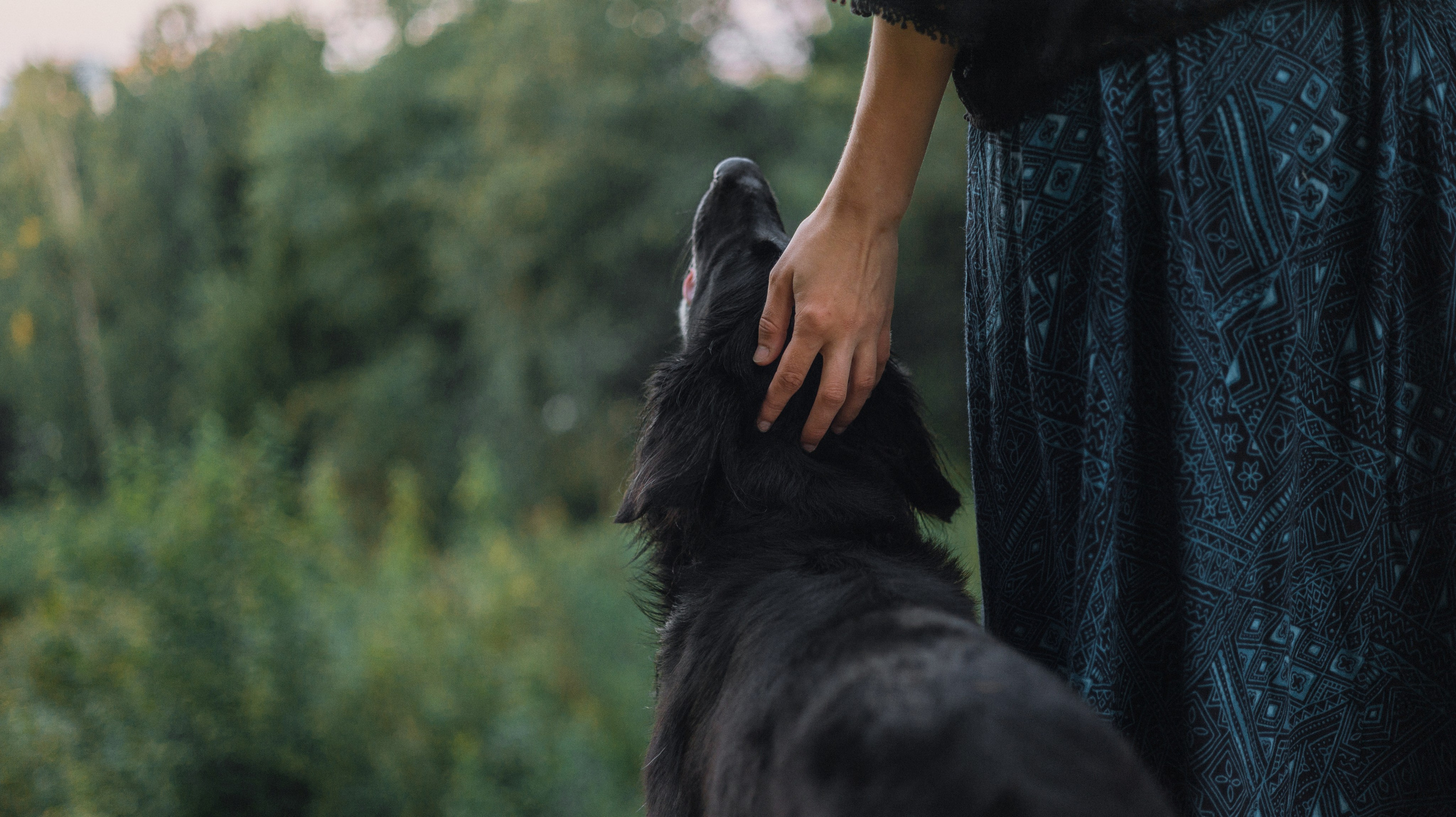 Лиза и Коди. Фотограф-анималист Богданова Полина