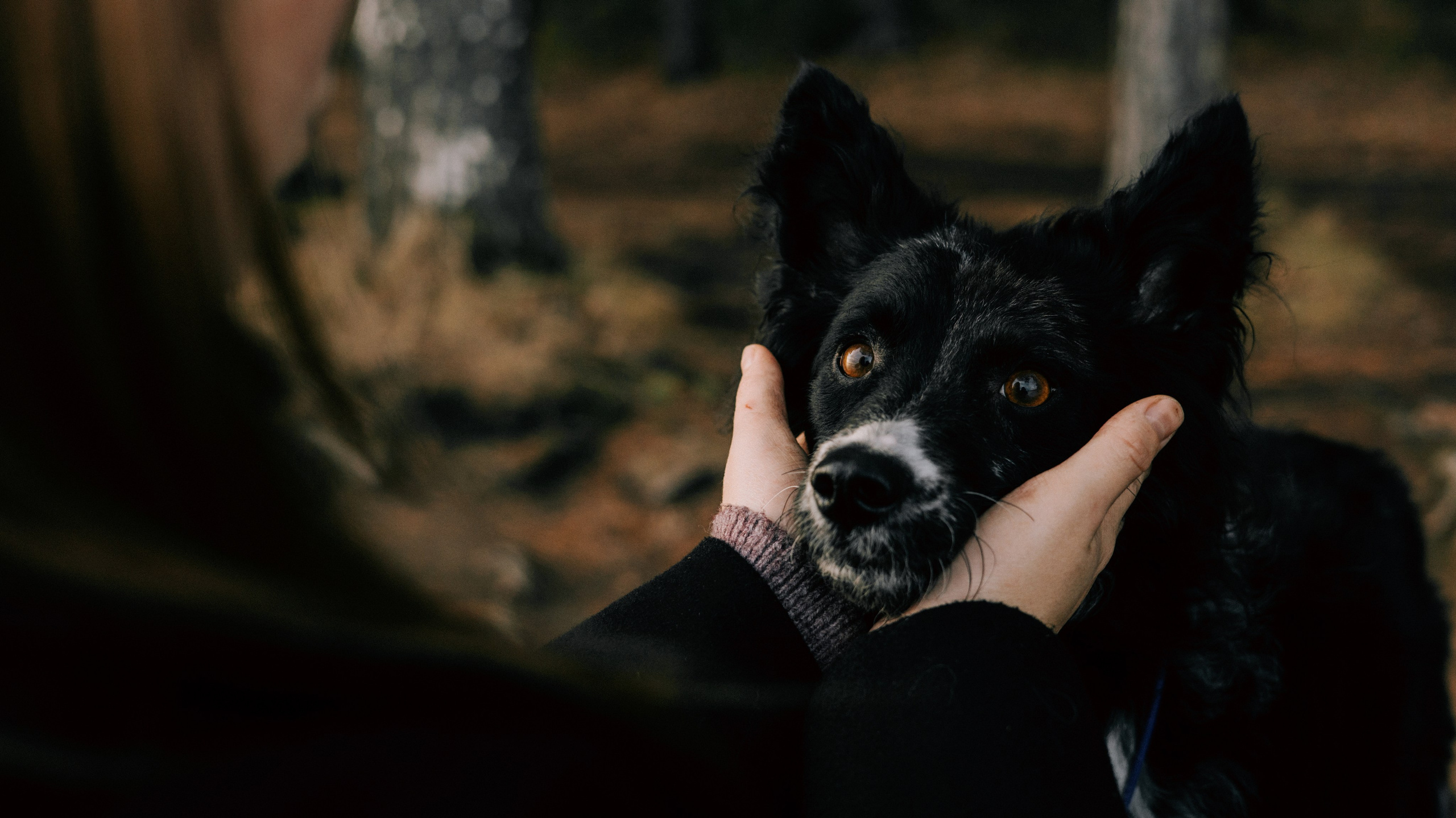 Полина и Сейви. Фотограф-анималист Богданова Полина