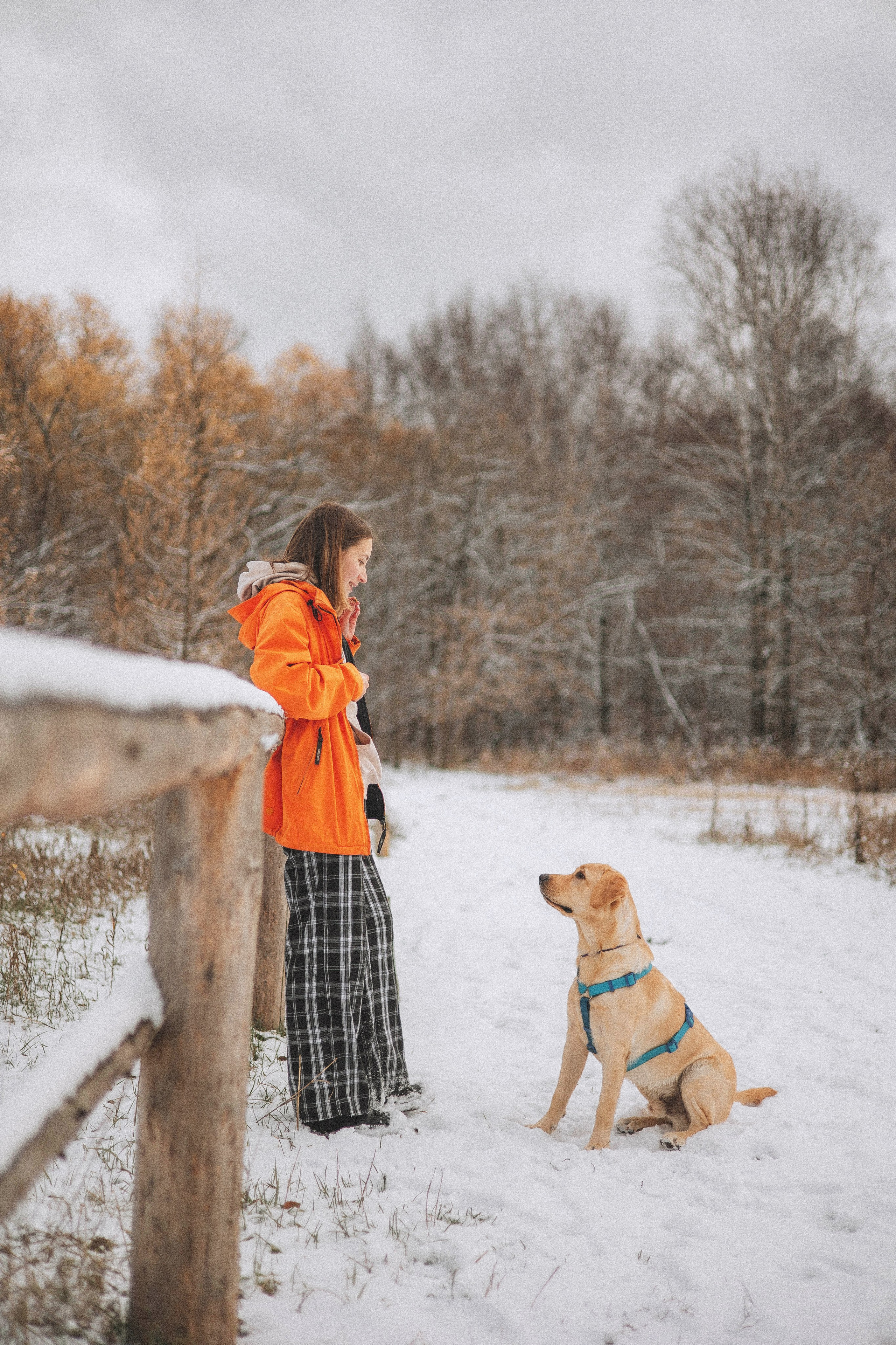 Маргарита и Варди. Фотограф-анималист Богданова Полина