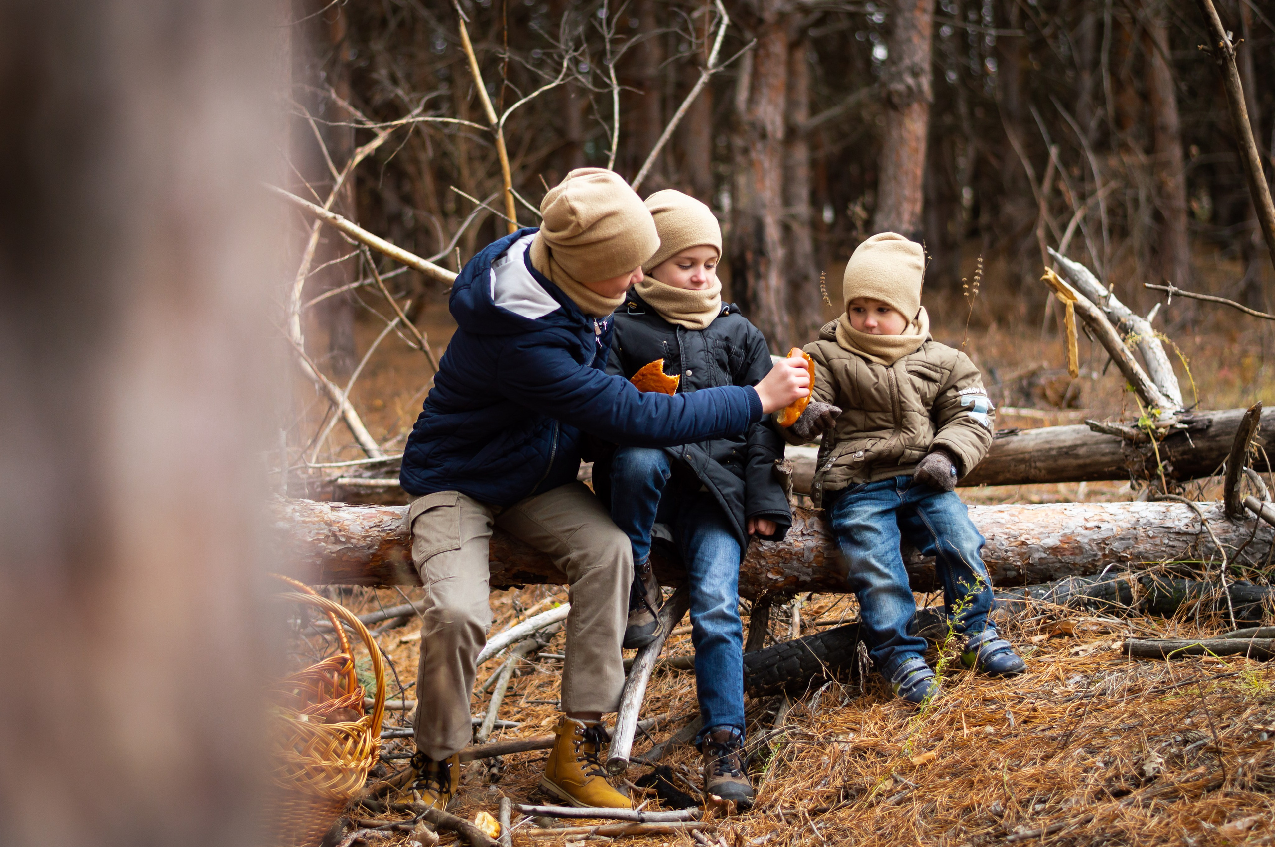 По грибы. Главная