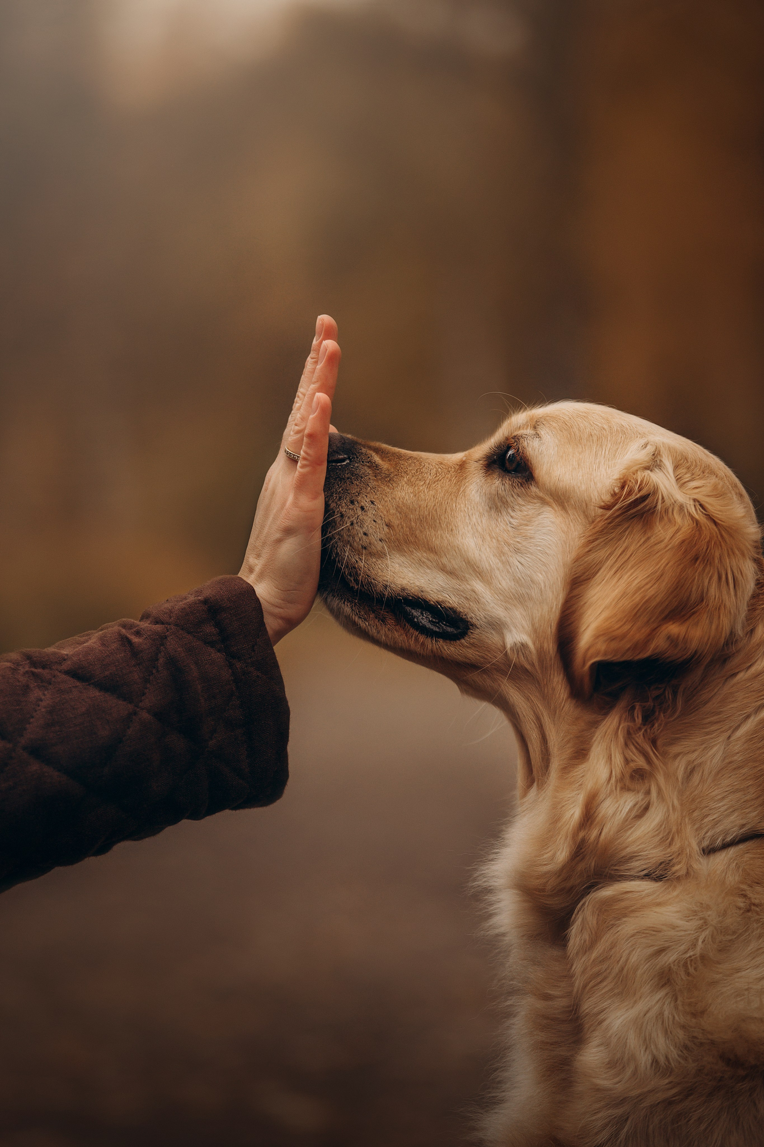 Марина и Чили. Фотограф — Анималист | Санкт-Петербург