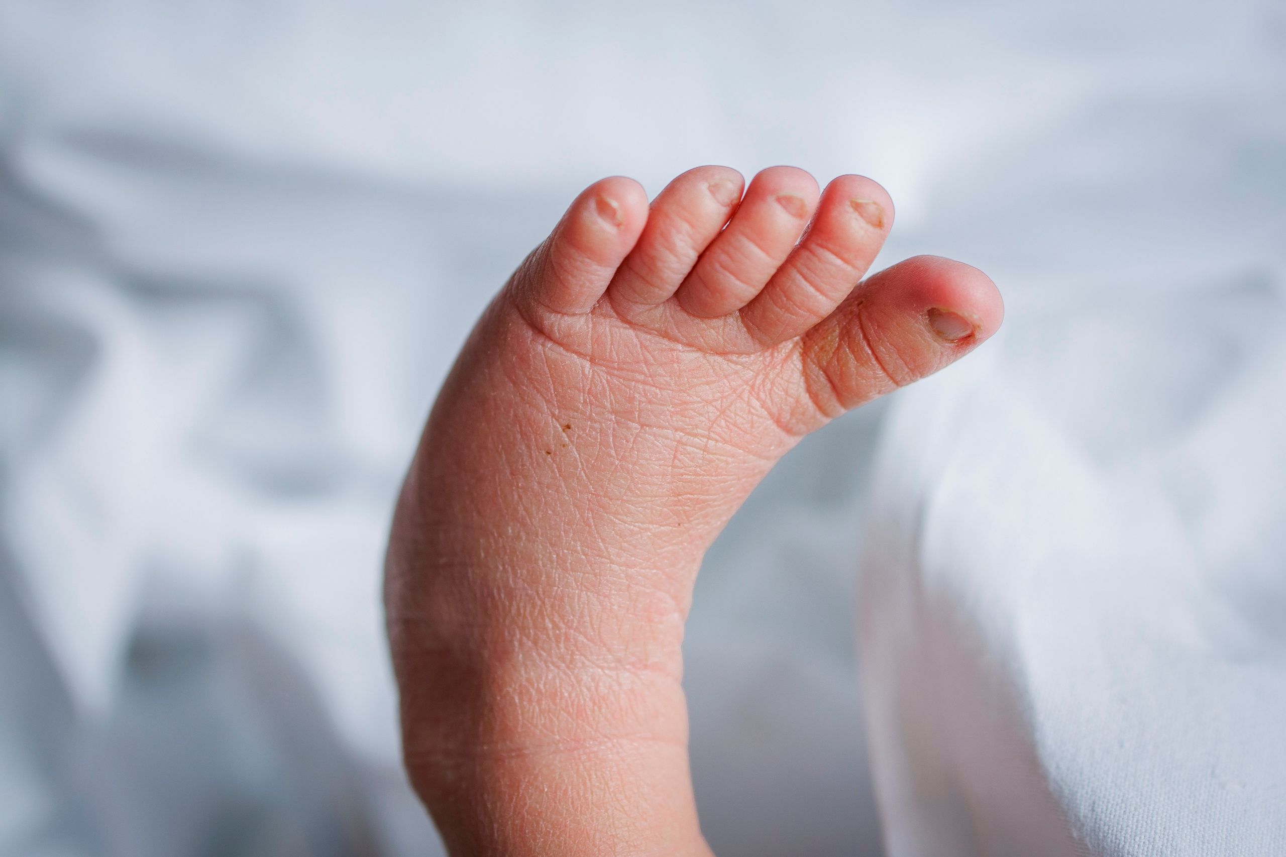 Фотограф на выписку