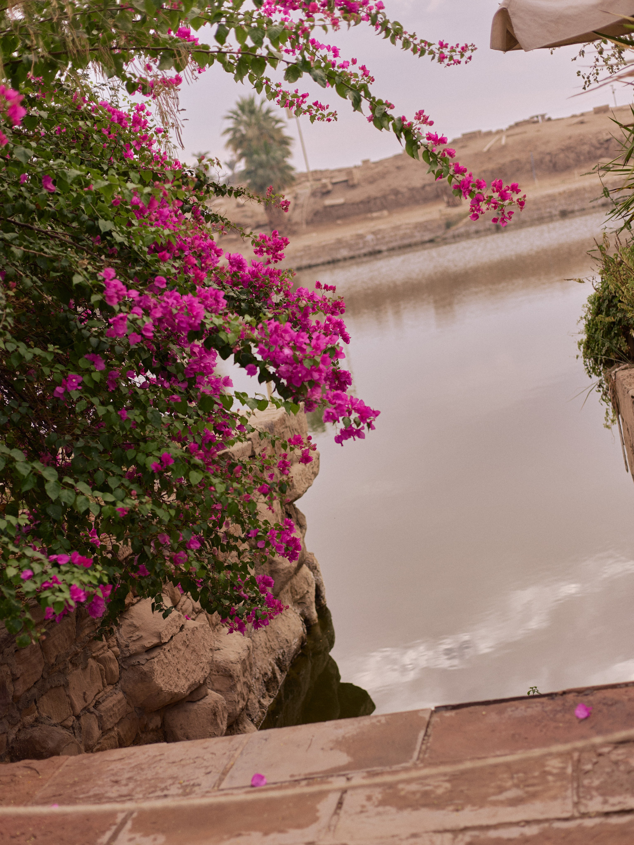 Другое 4. Jorgis — фотограф в Хургаде / обучение фотографии