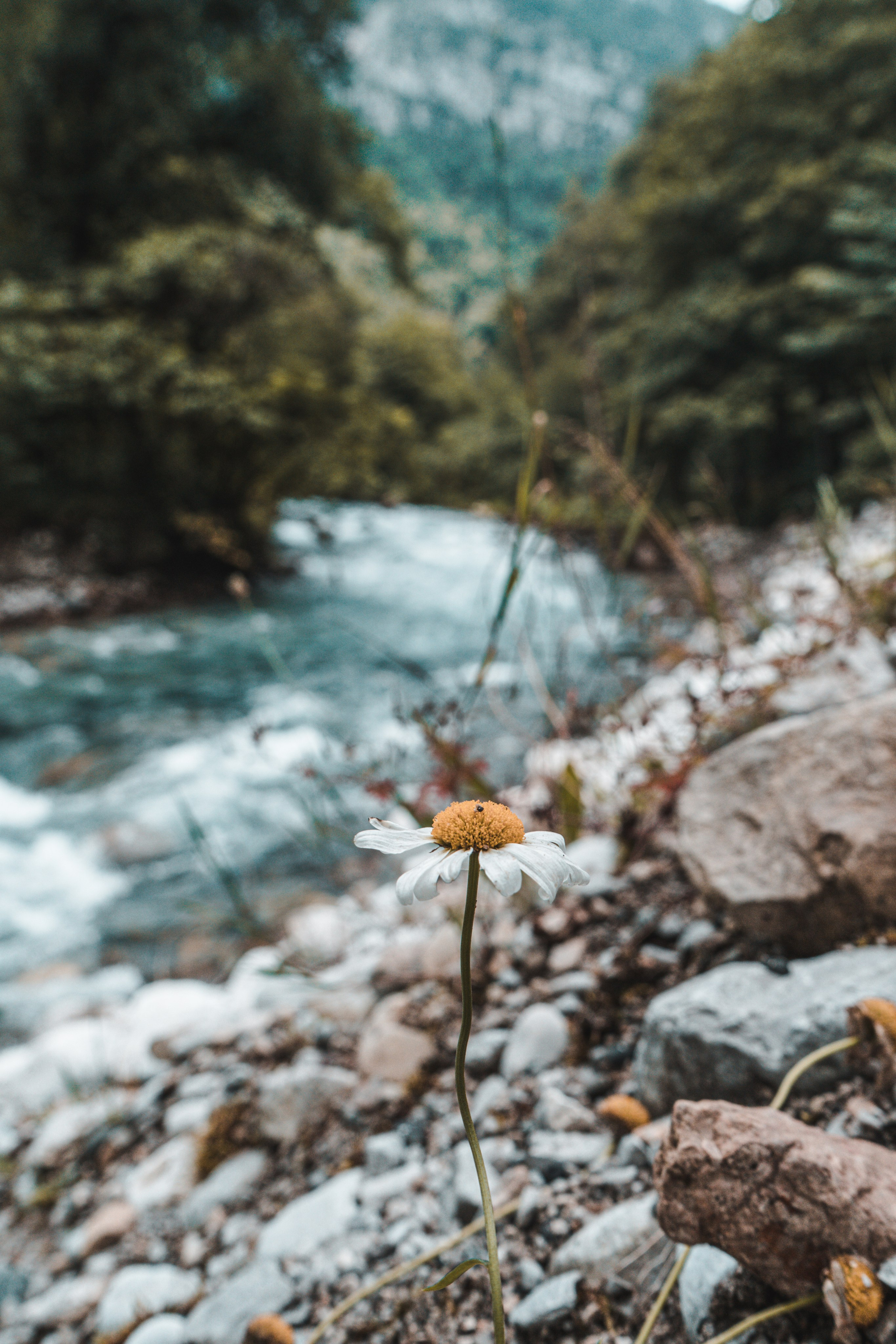 Натура. Владислав Кожух | Фотограф | Видеограф | Режиссёр