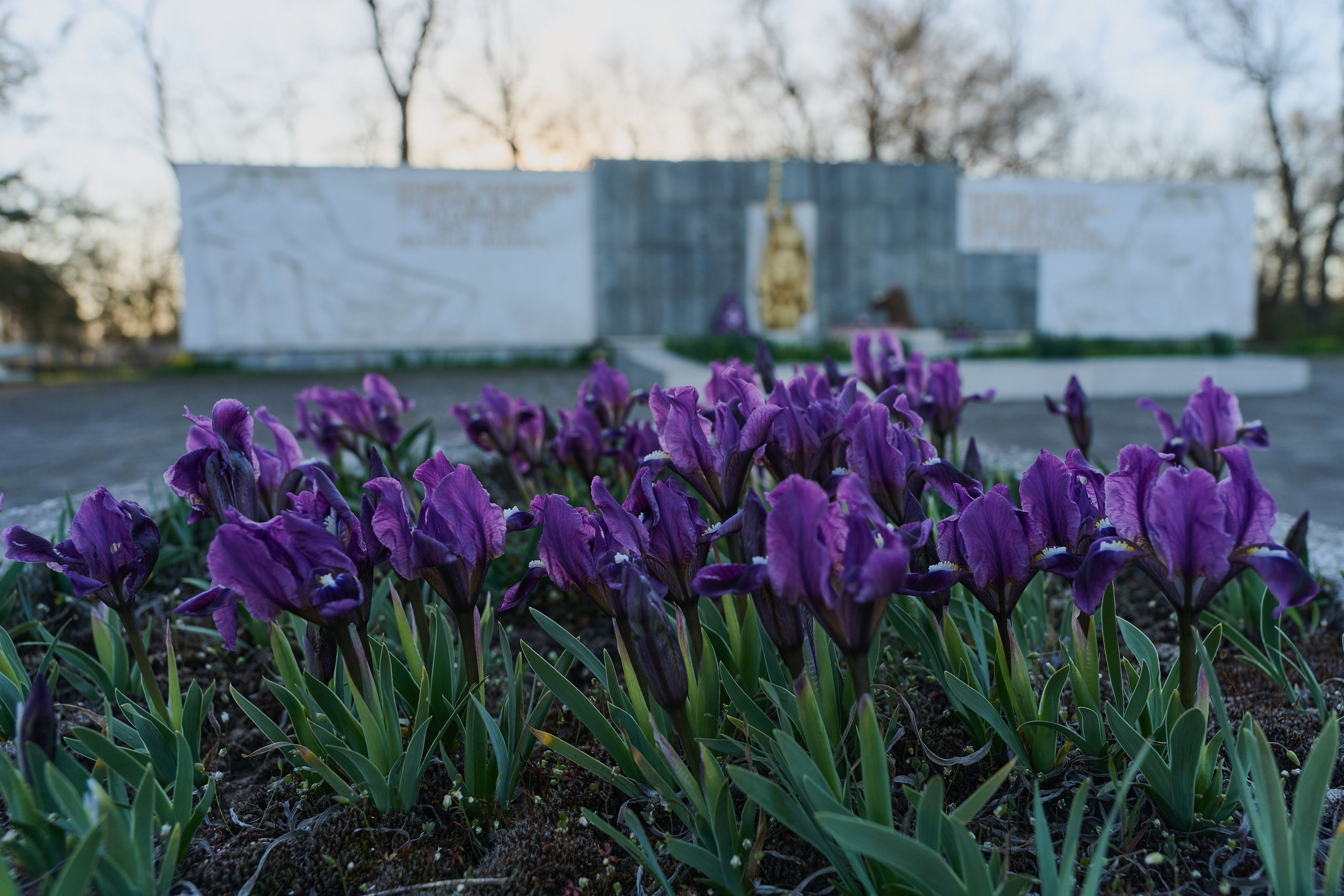 Мелитополь. Фотопроект «Территории»