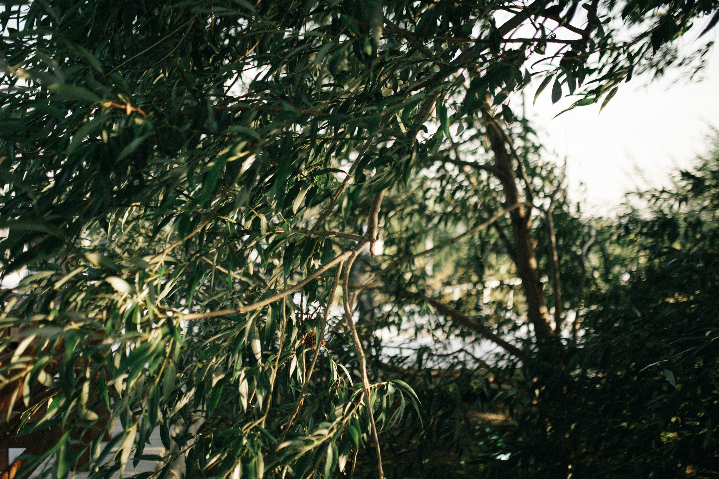 Alex & Ksy. Портретный и репортажной фотограф Алексей Волков. Москва, Оренбург